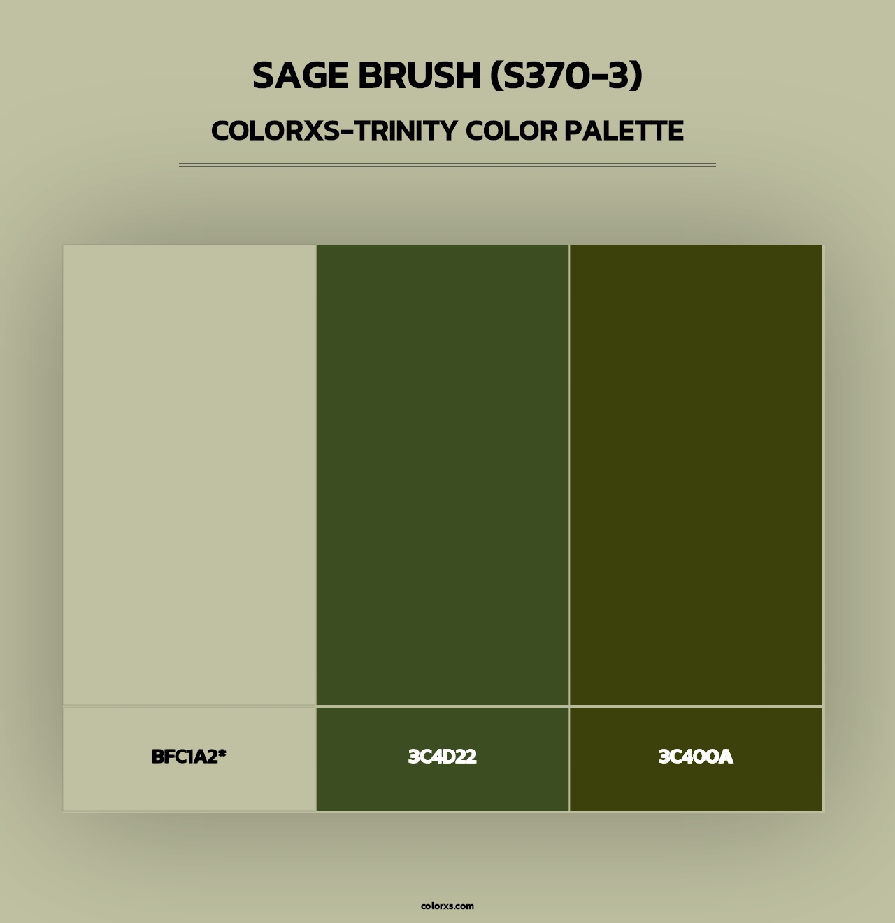Sage Brush (S370-3) - Colorxs Trinity Palette