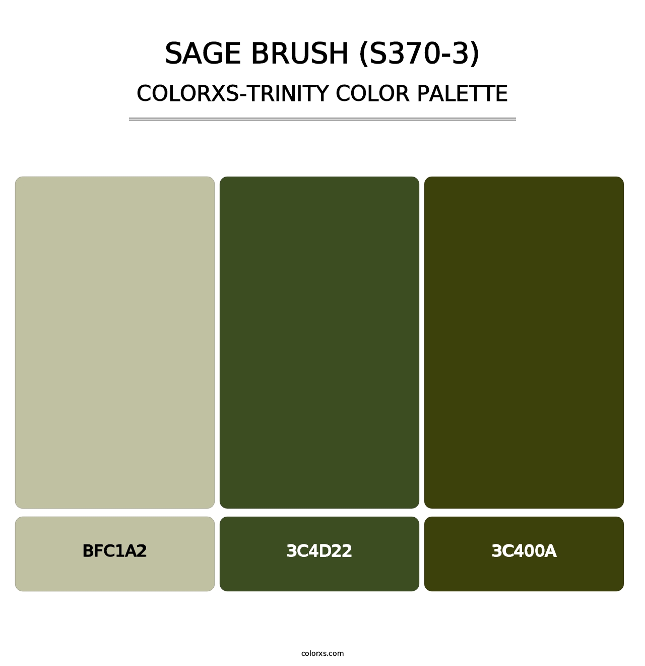 Sage Brush (S370-3) - Colorxs Trinity Palette