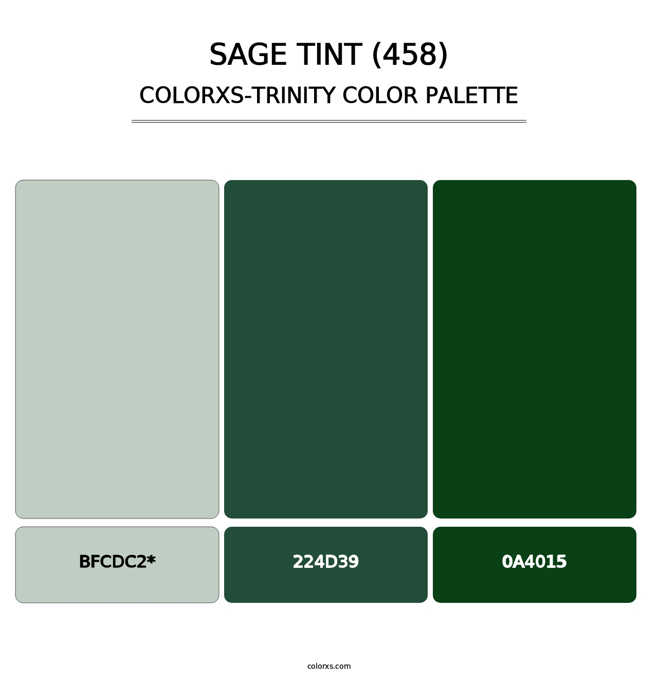 Sage Tint (458) - Colorxs Trinity Palette