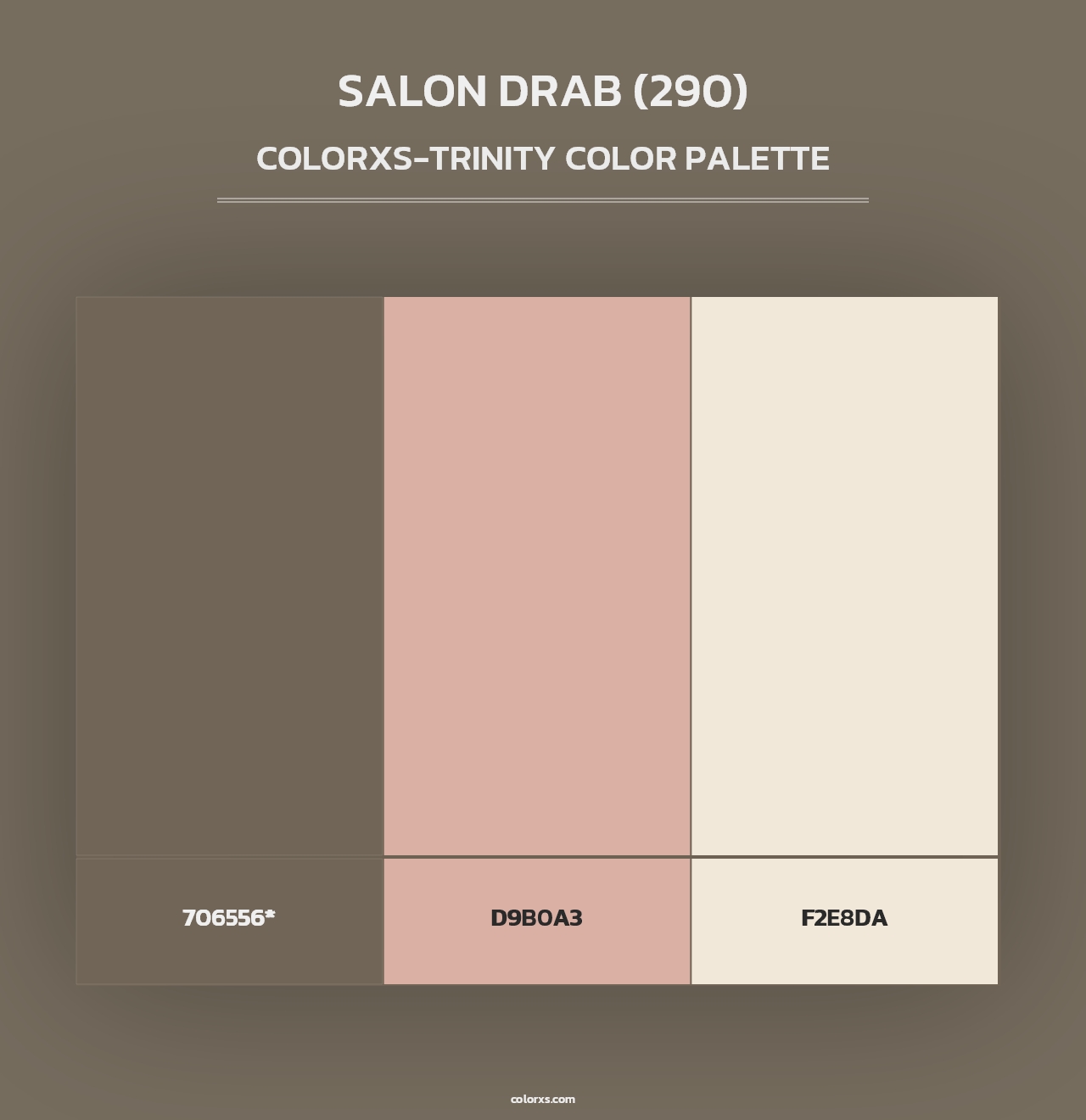 Salon Drab (290) - Colorxs Trinity Palette