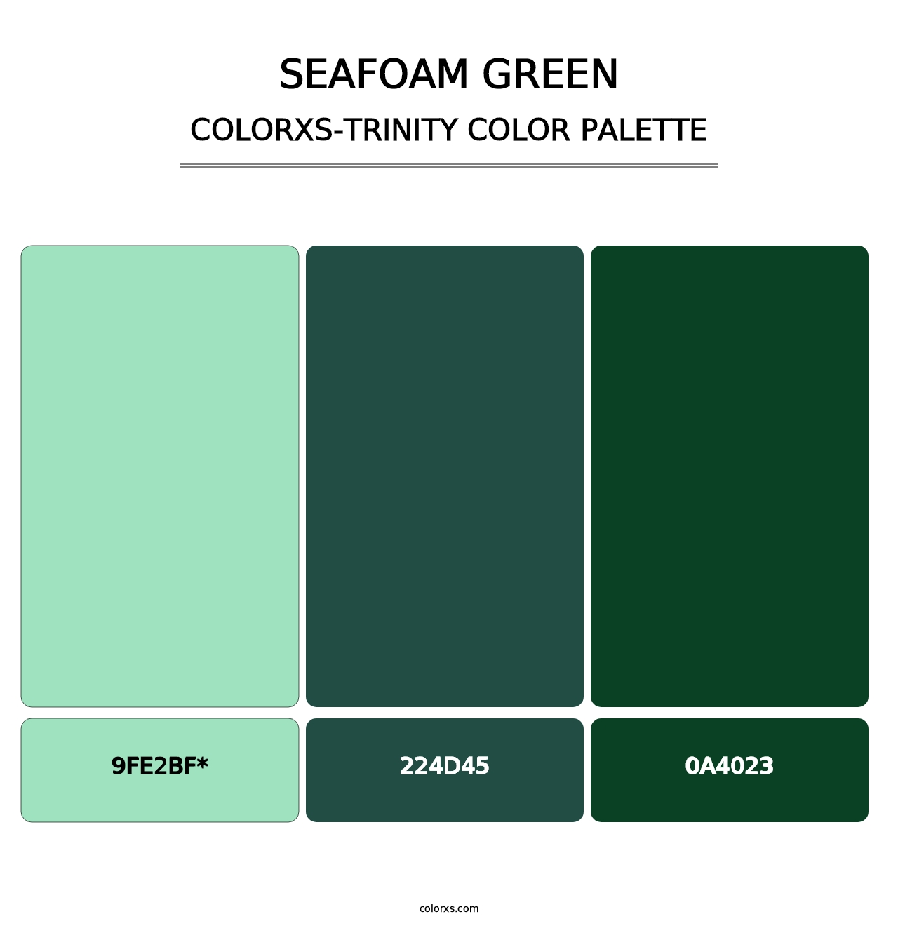 Seafoam Green - Colorxs Trinity Palette