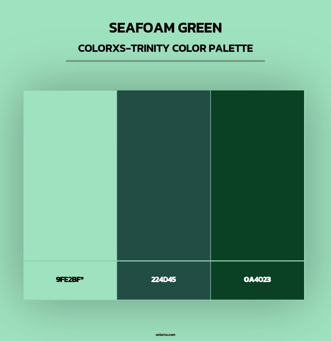 Seafoam Green - Colorxs Trinity Palette