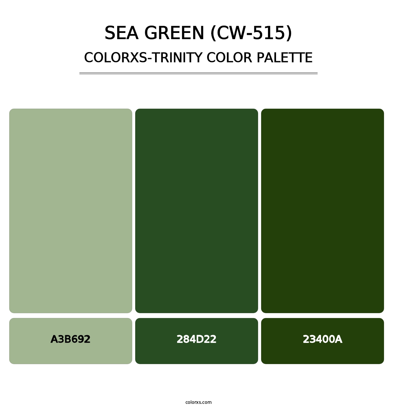 Sea Green (CW-515) - Colorxs Trinity Palette