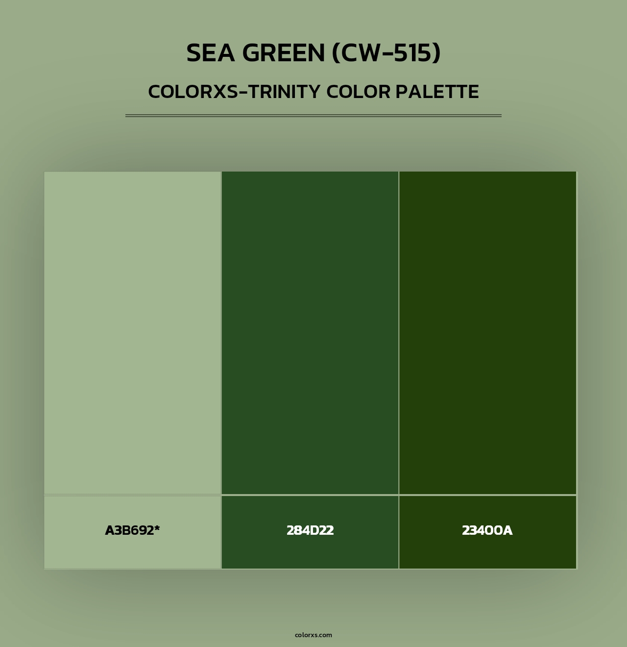 Sea Green (CW-515) - Colorxs Trinity Palette