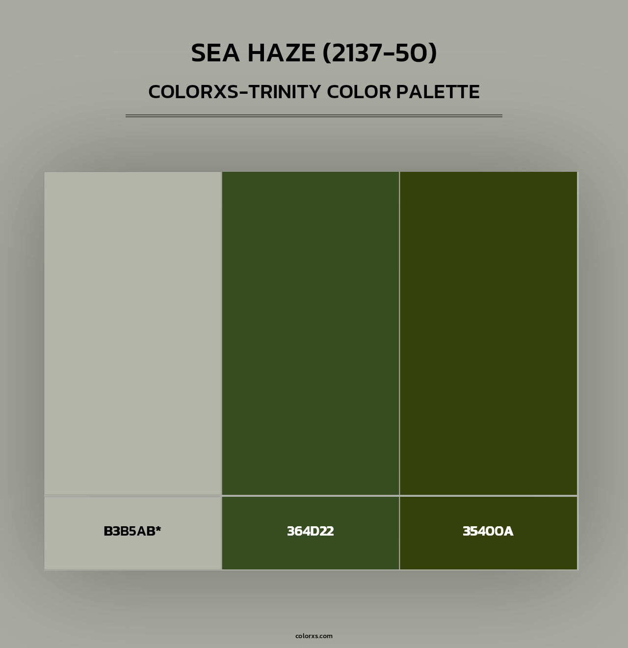 Sea Haze (2137-50) - Colorxs Trinity Palette