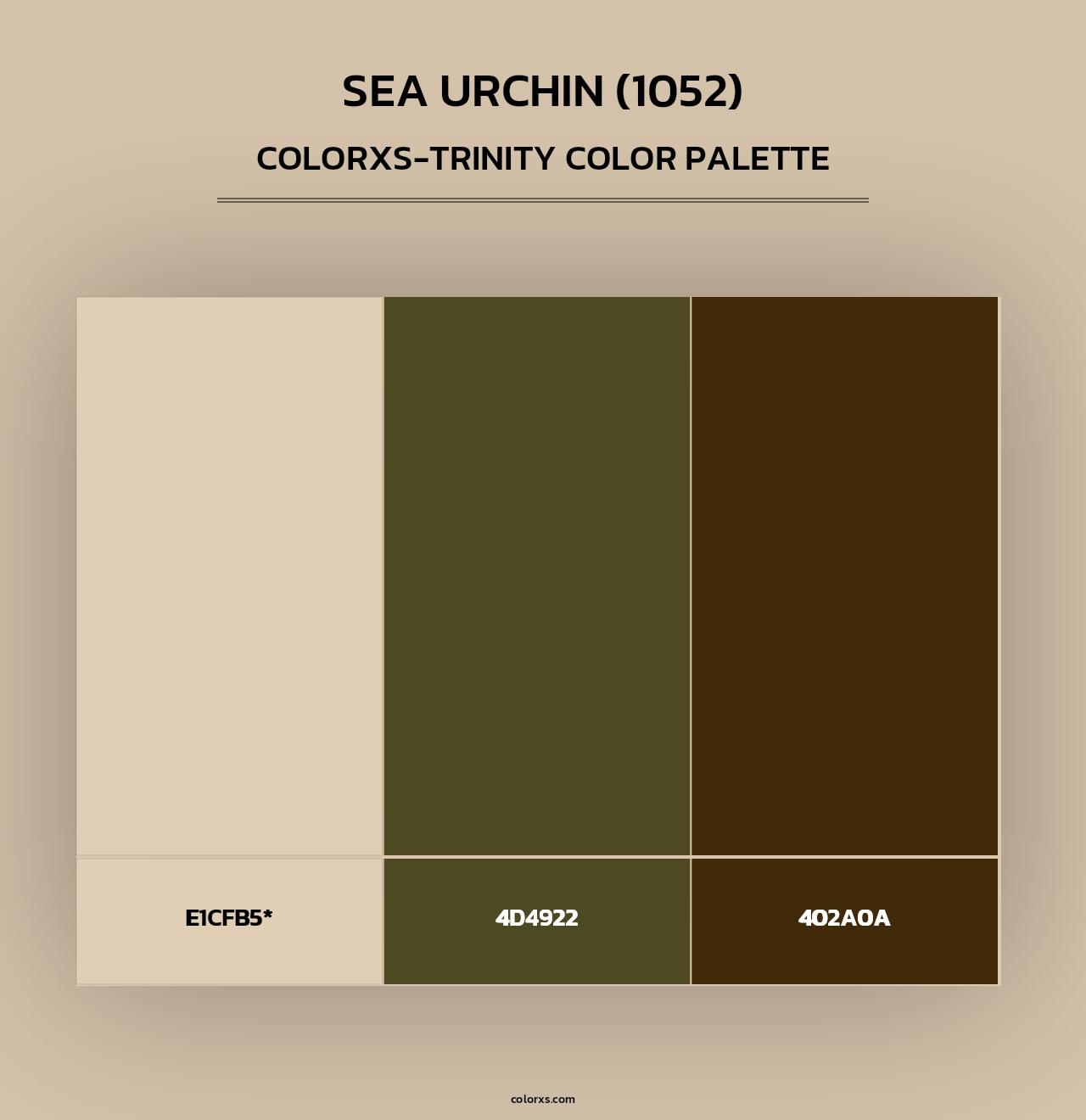 Sea Urchin (1052) - Colorxs Trinity Palette