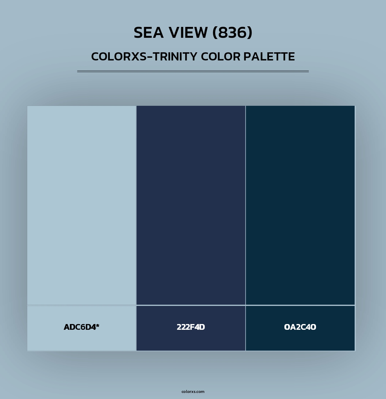 Sea View (836) - Colorxs Trinity Palette
