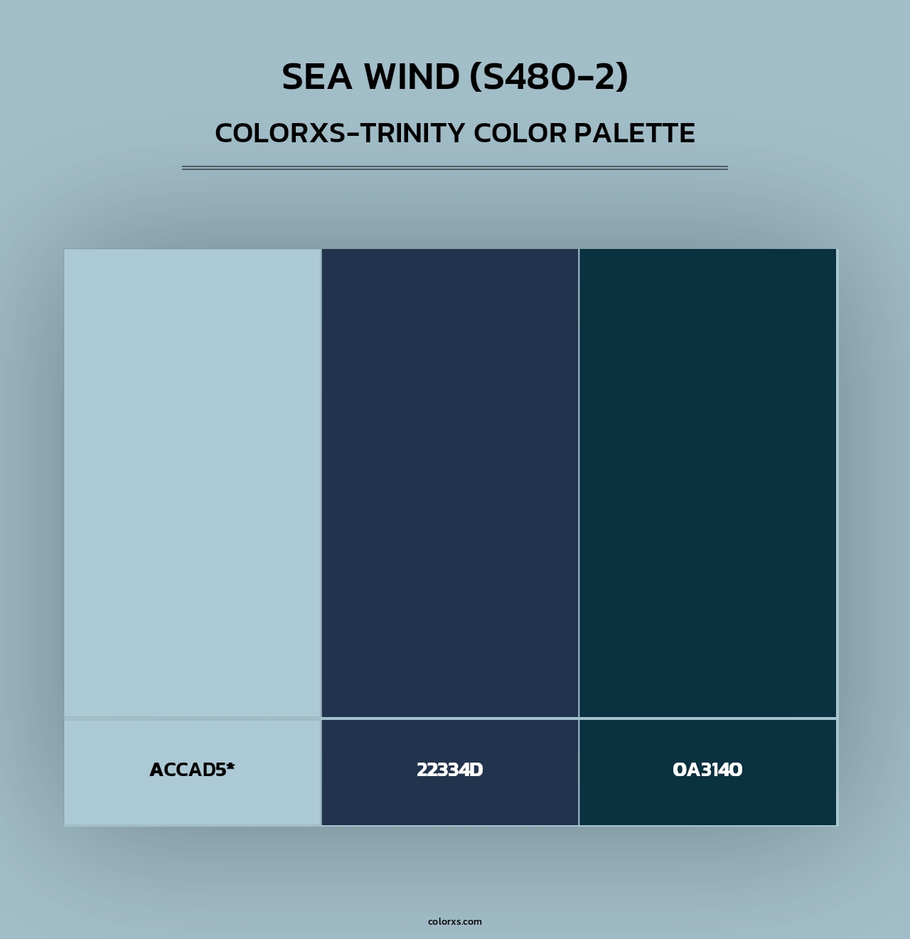Sea Wind (S480-2) - Colorxs Trinity Palette