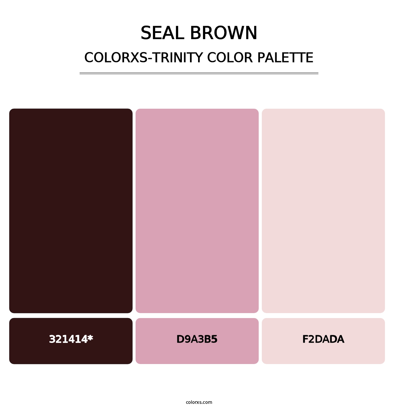 Seal brown - Colorxs Trinity Palette