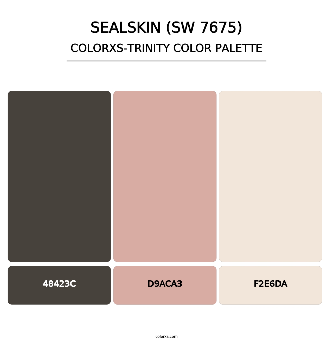 Sealskin (SW 7675) - Colorxs Trinity Palette