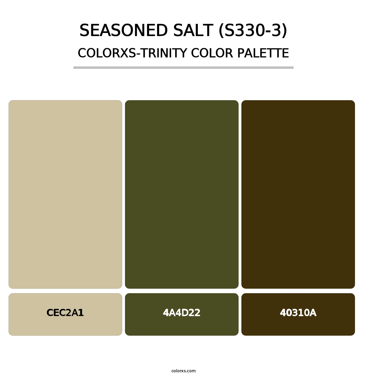 Seasoned Salt (S330-3) - Colorxs Trinity Palette