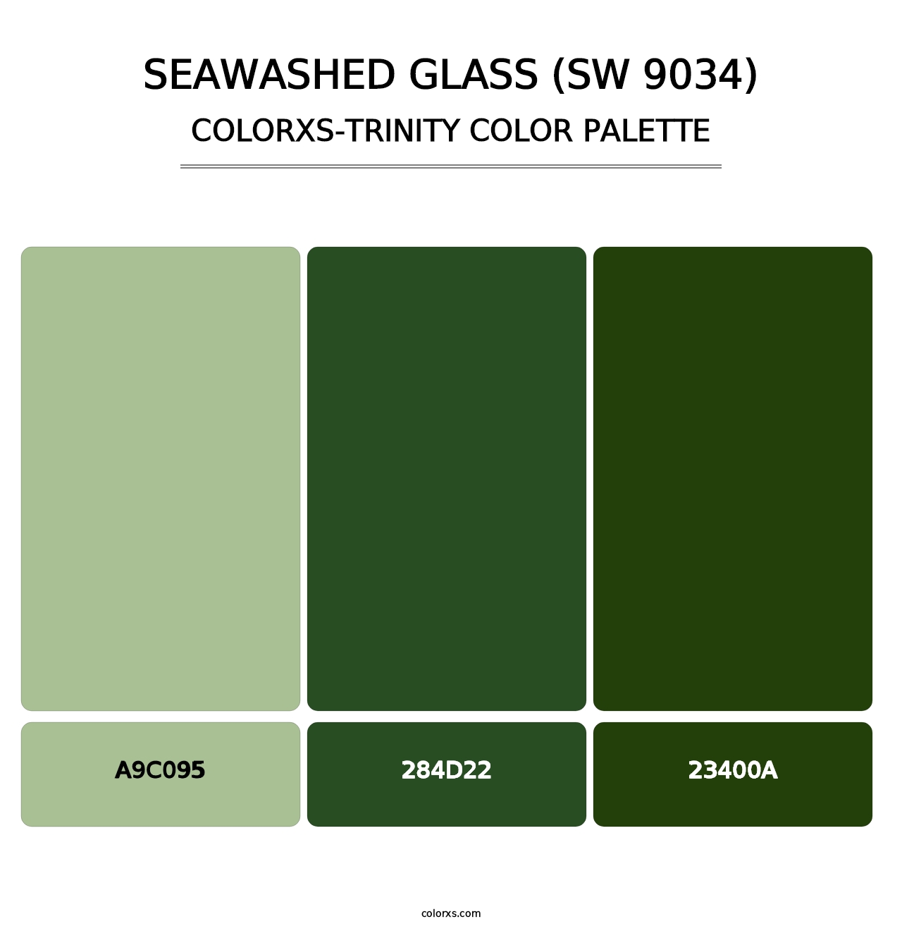 Seawashed Glass (SW 9034) - Colorxs Trinity Palette