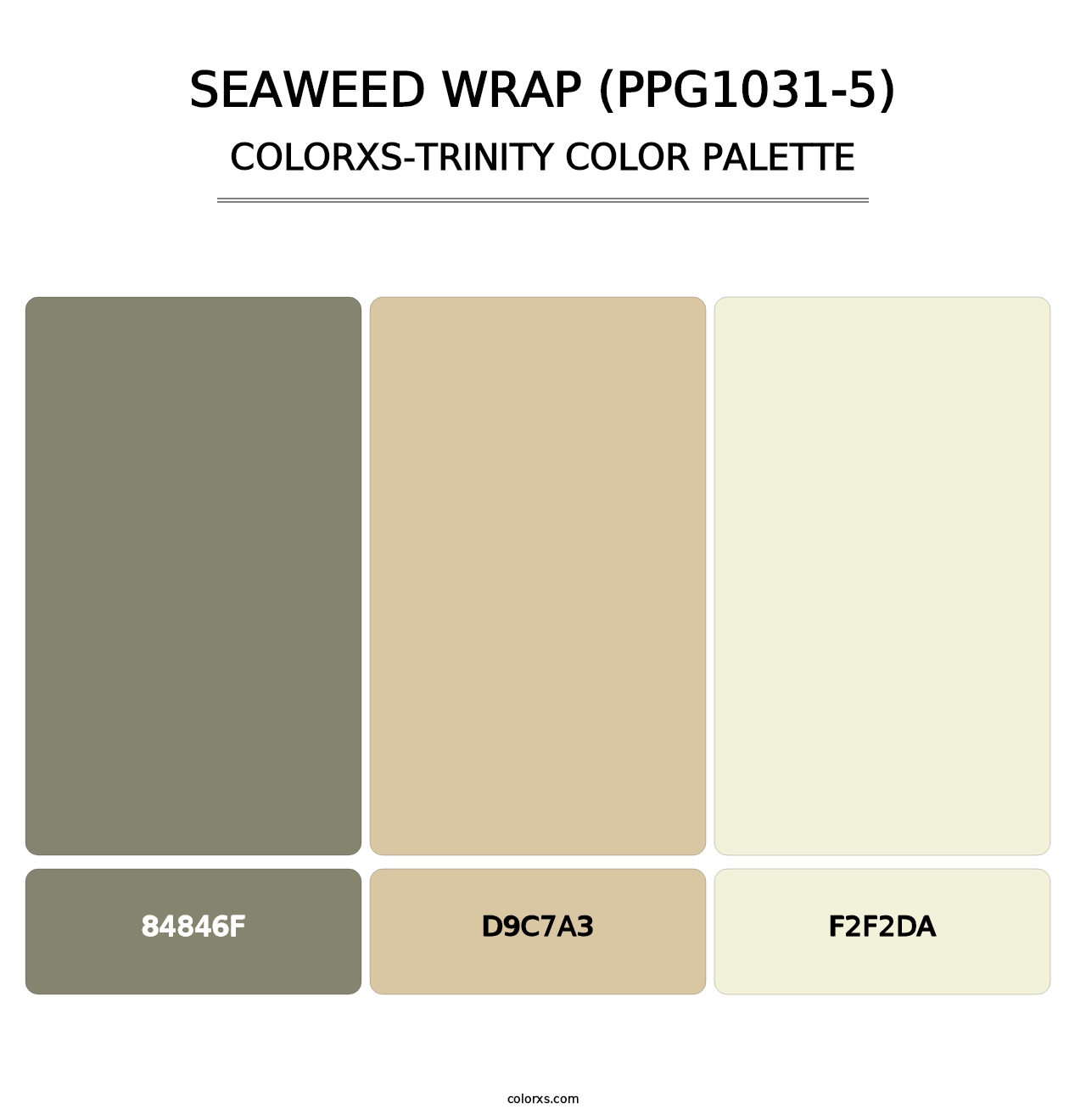 Seaweed Wrap (PPG1031-5) - Colorxs Trinity Palette