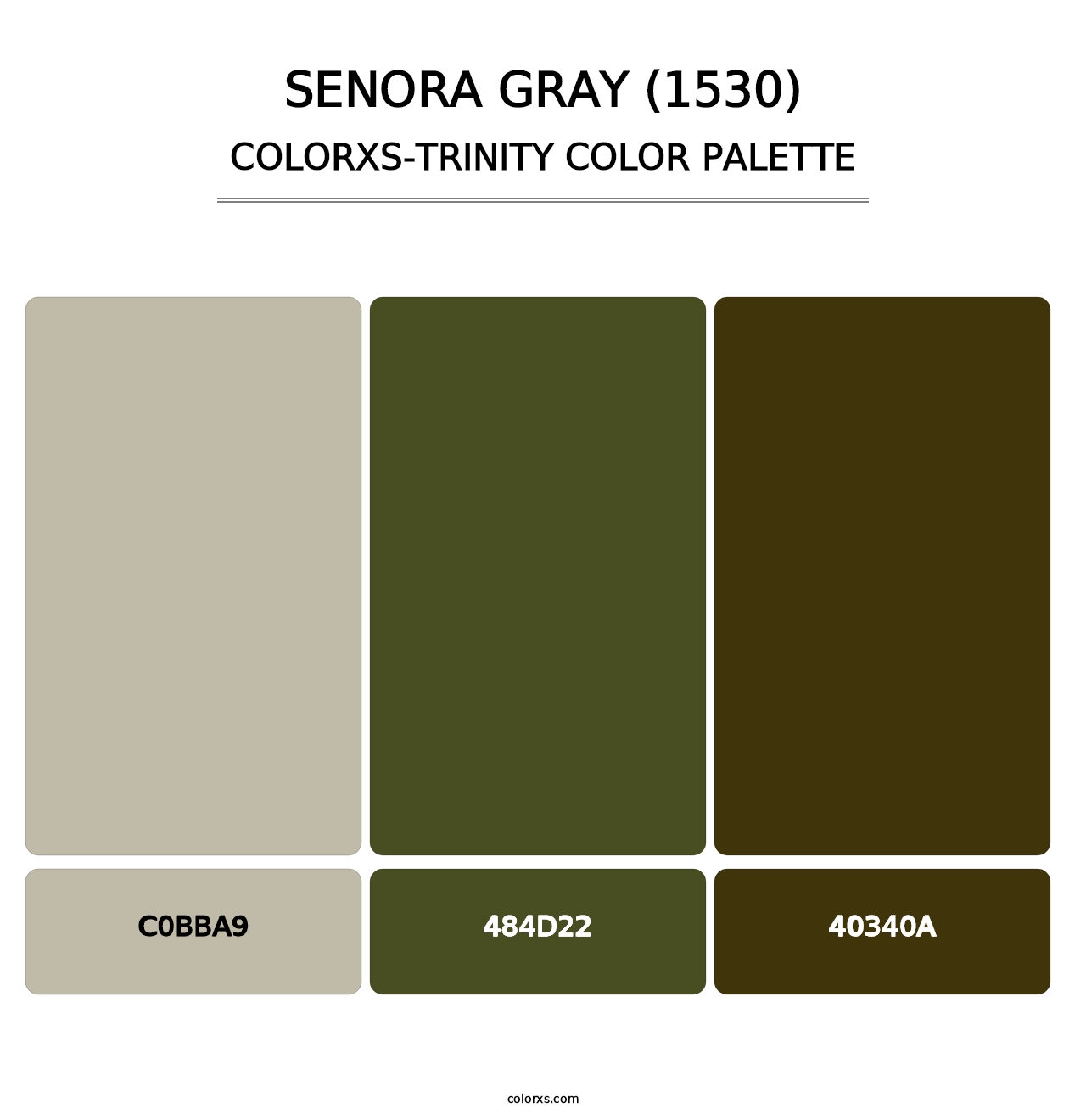 Senora Gray (1530) - Colorxs Trinity Palette