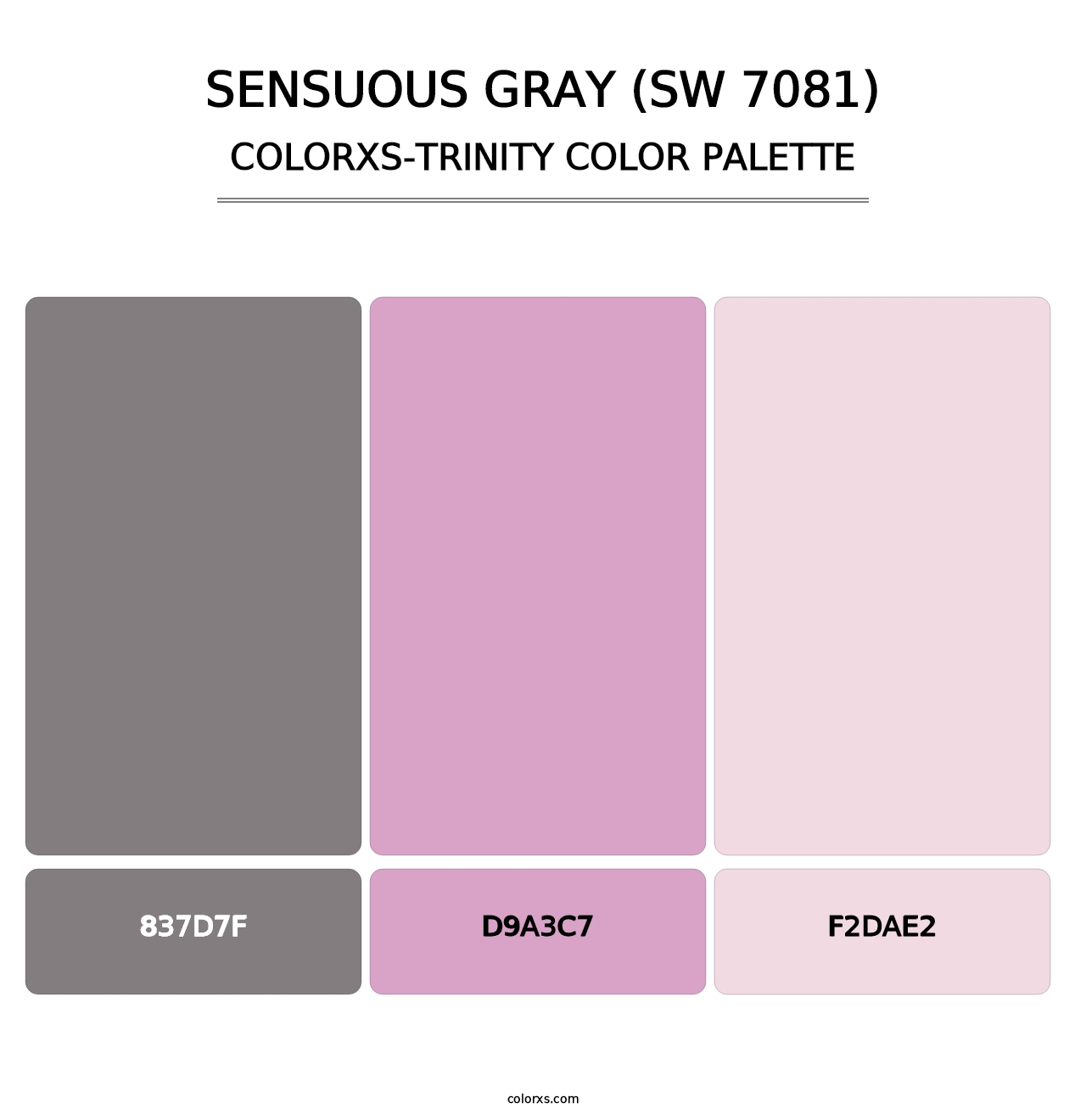 Sensuous Gray (SW 7081) - Colorxs Trinity Palette