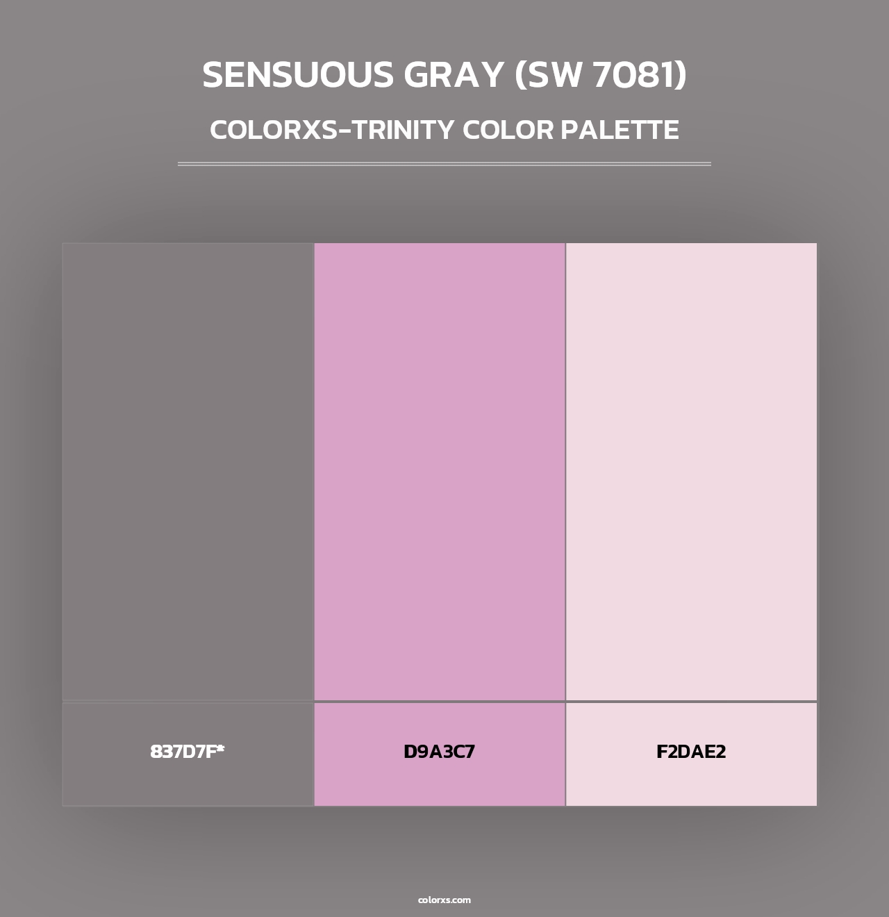 Sensuous Gray (SW 7081) - Colorxs Trinity Palette