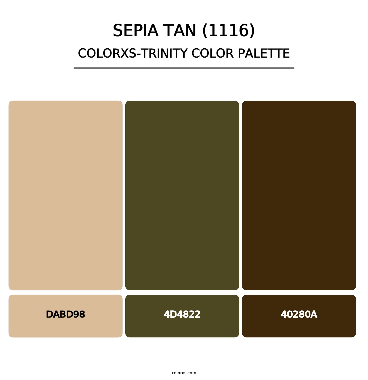 Sepia Tan (1116) - Colorxs Trinity Palette