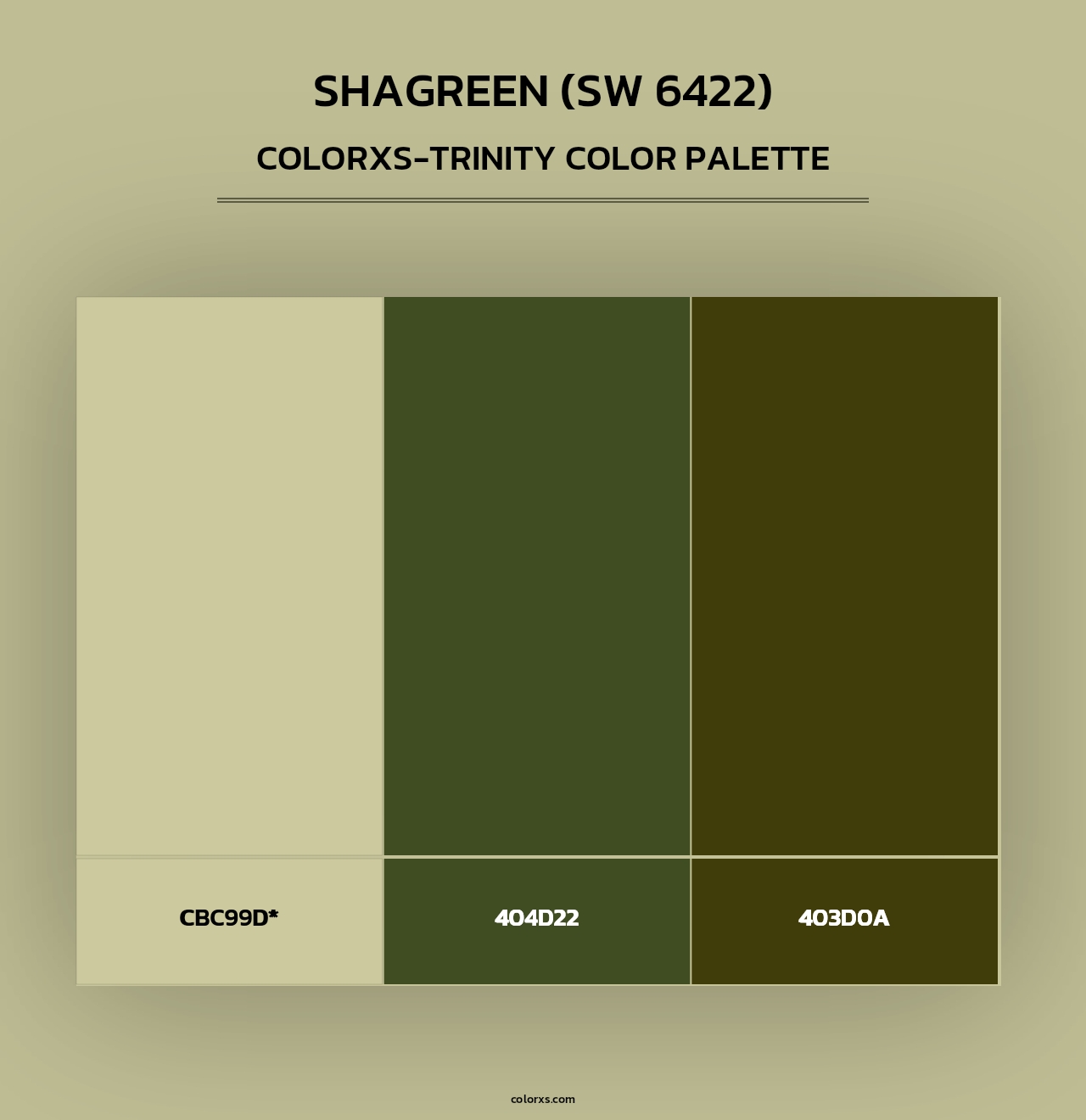 Shagreen (SW 6422) - Colorxs Trinity Palette