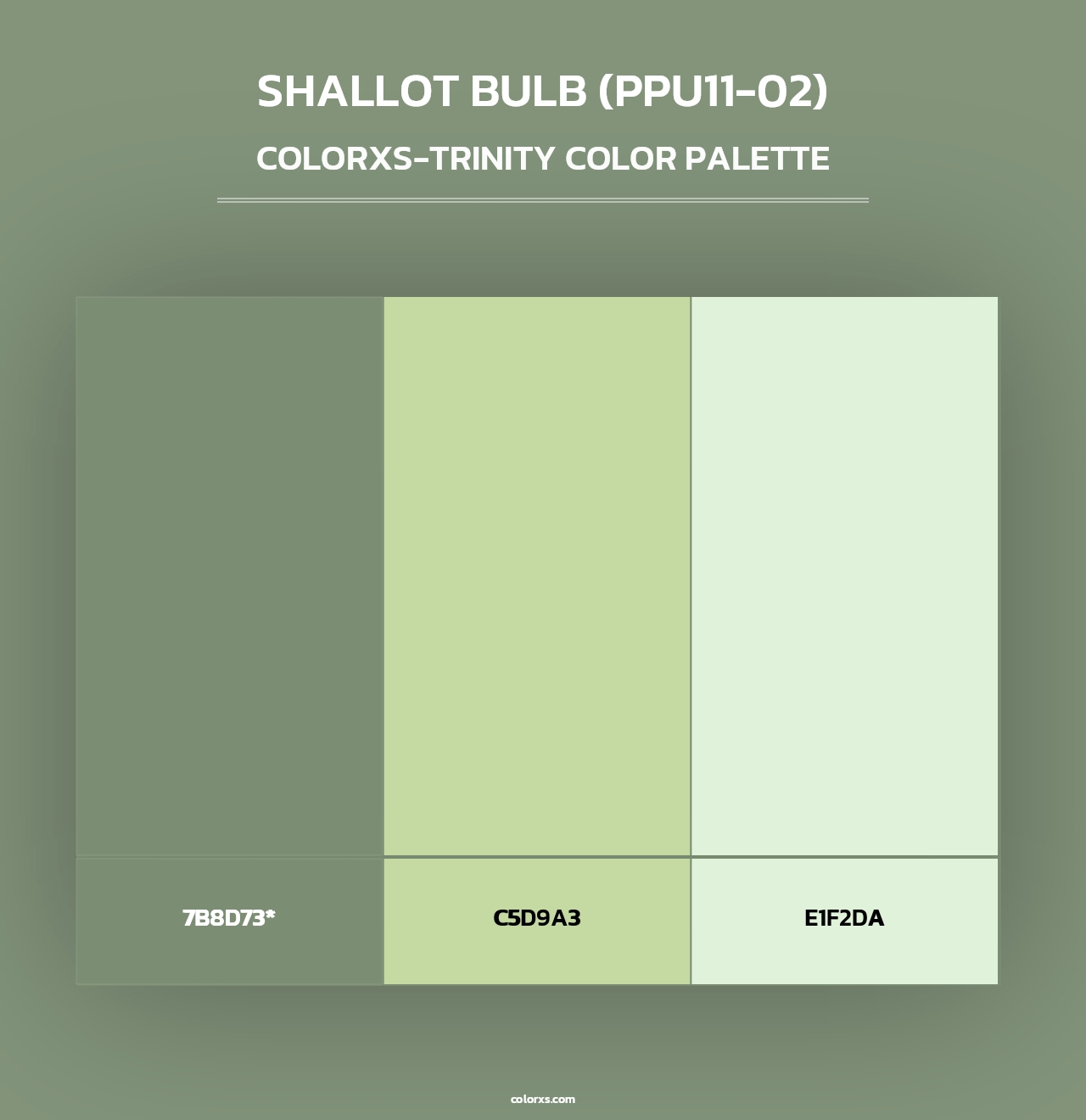 Shallot Bulb (PPU11-02) - Colorxs Trinity Palette
