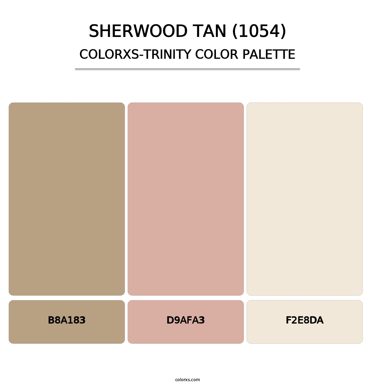 Sherwood Tan (1054) - Colorxs Trinity Palette