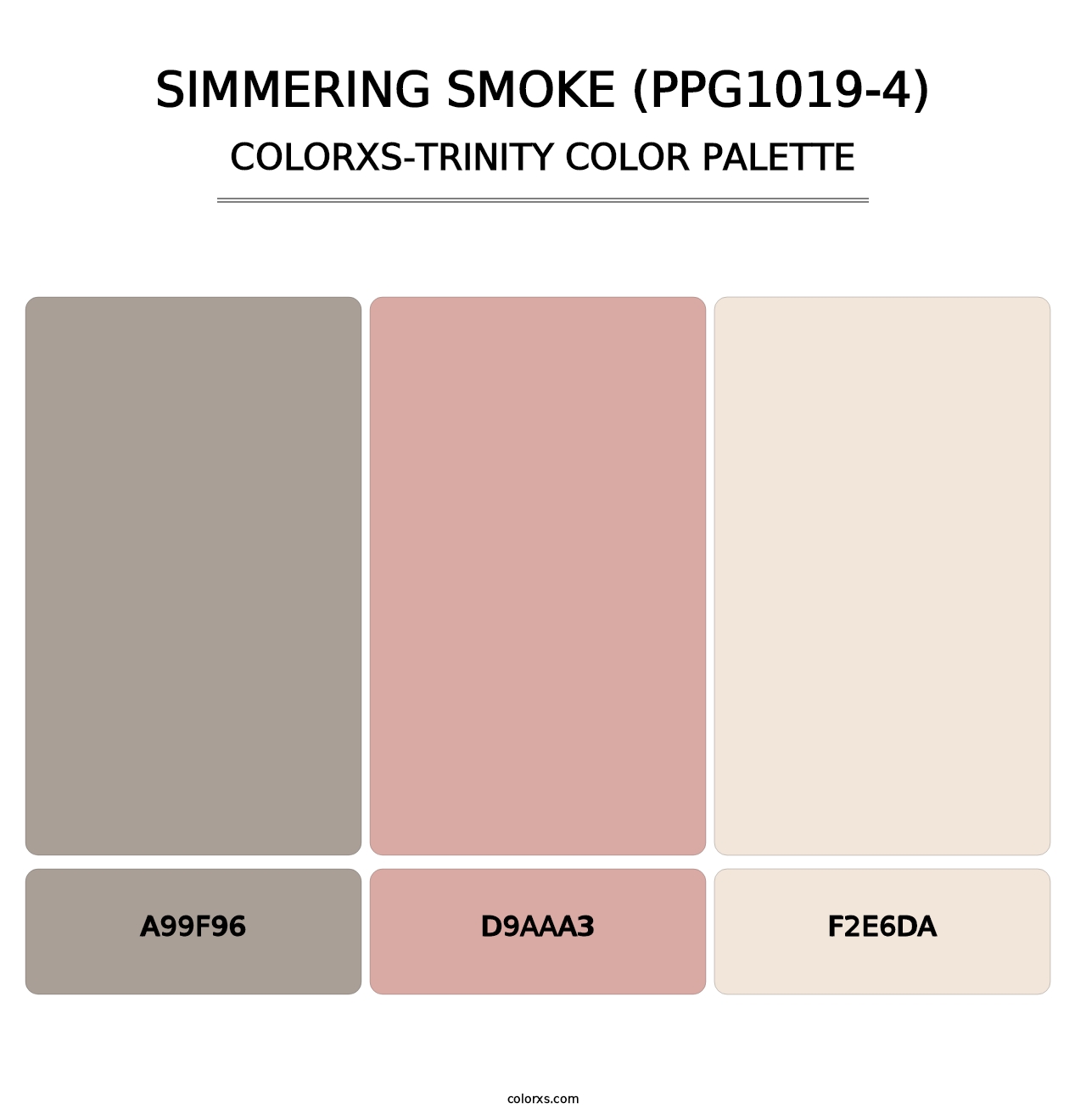 Simmering Smoke (PPG1019-4) - Colorxs Trinity Palette