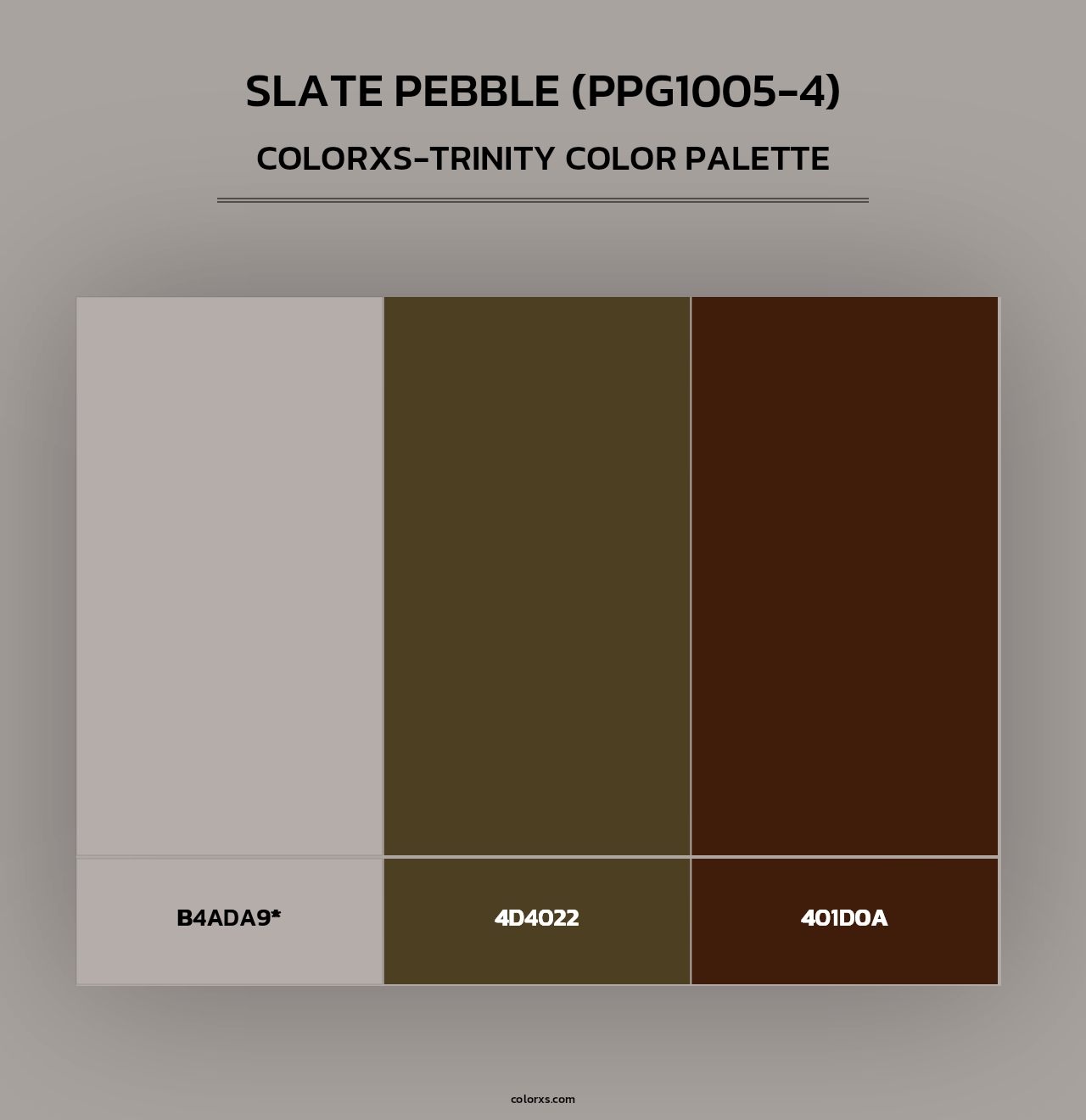 Slate Pebble (PPG1005-4) - Colorxs Trinity Palette