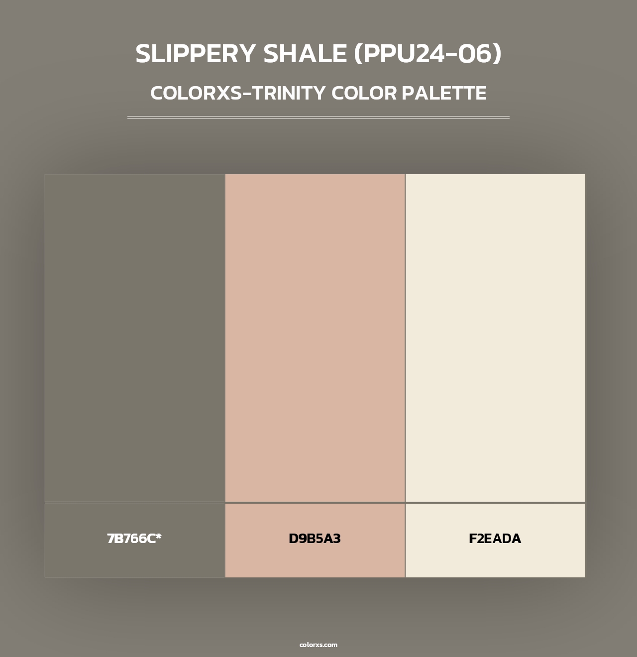 Slippery Shale (PPU24-06) - Colorxs Trinity Palette