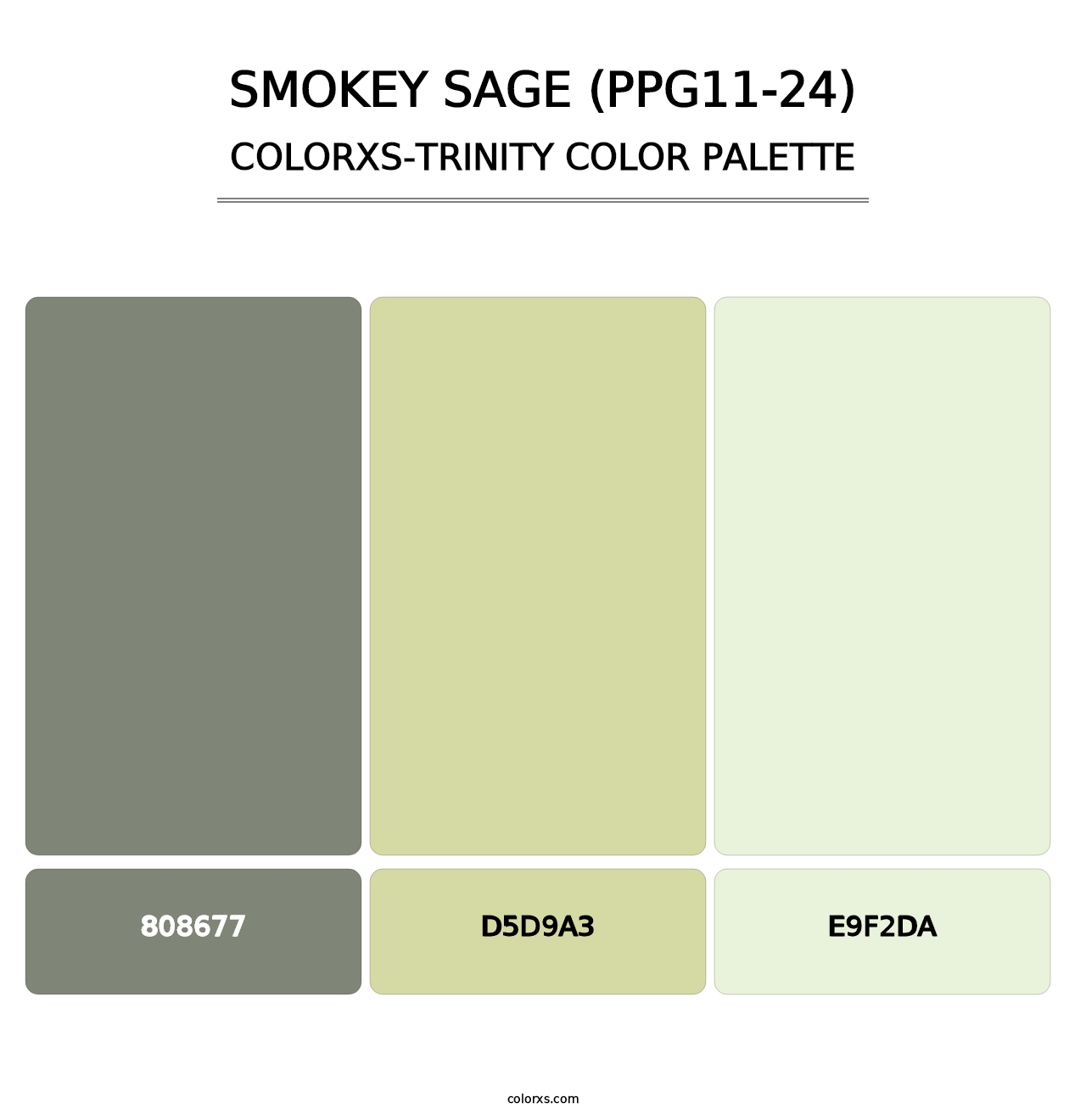 Smokey Sage (PPG11-24) - Colorxs Trinity Palette
