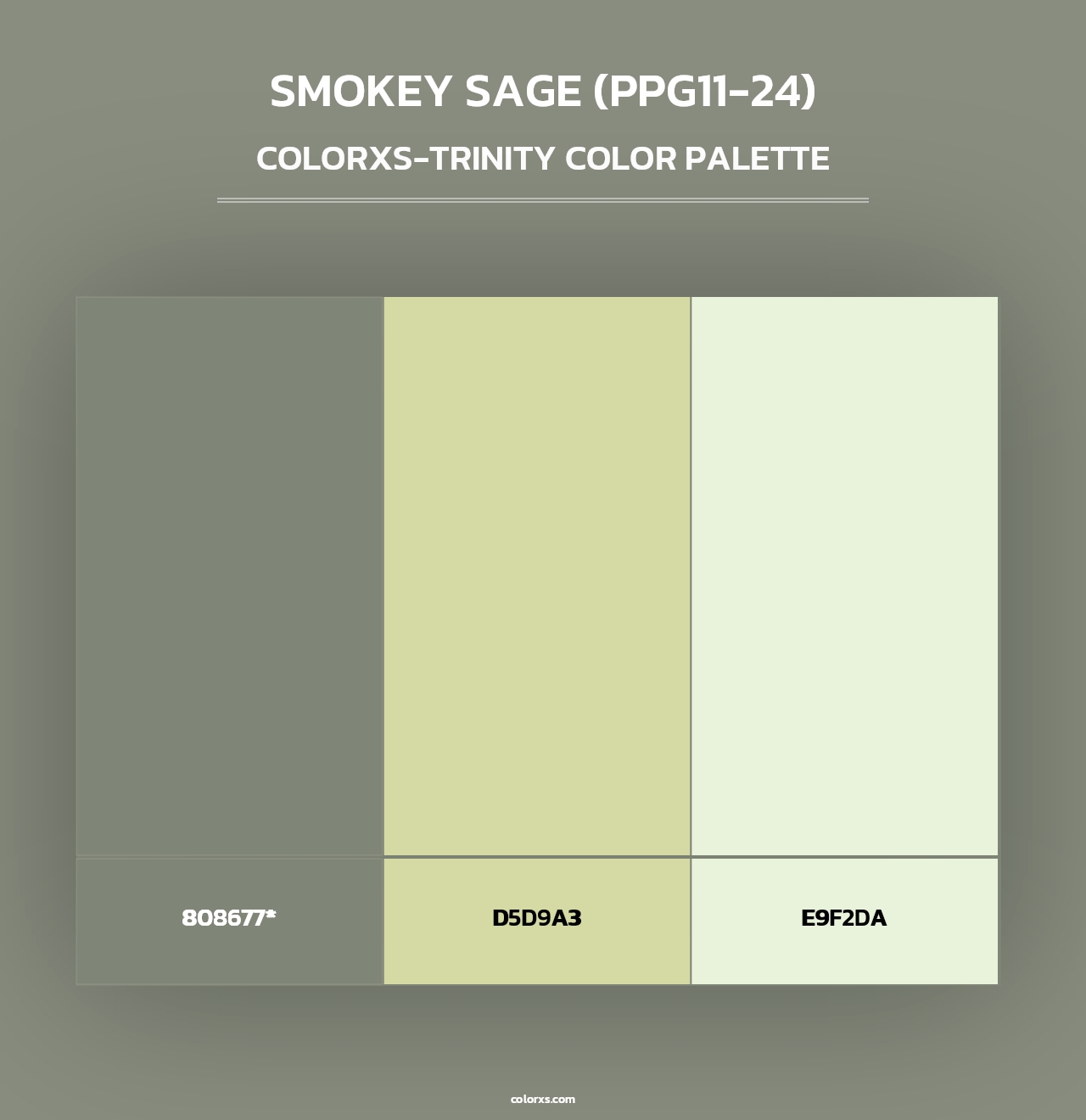 Smokey Sage (PPG11-24) - Colorxs Trinity Palette