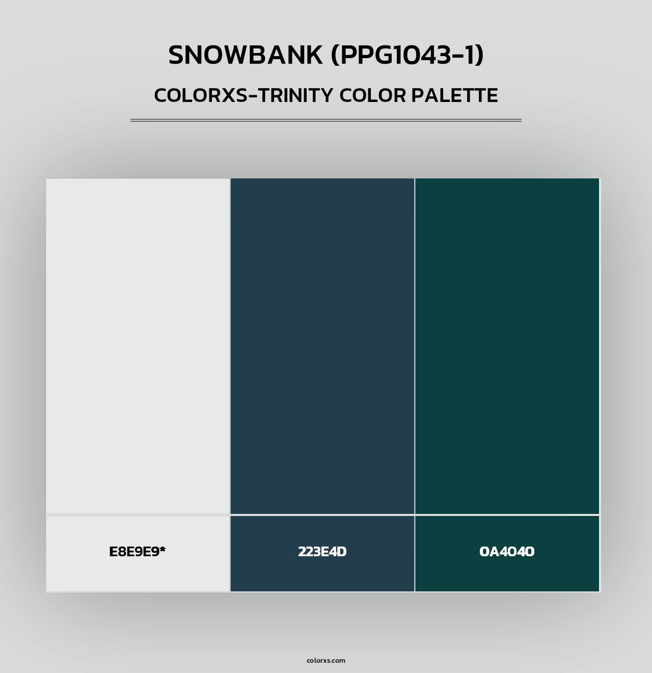 Snowbank (PPG1043-1) - Colorxs Trinity Palette
