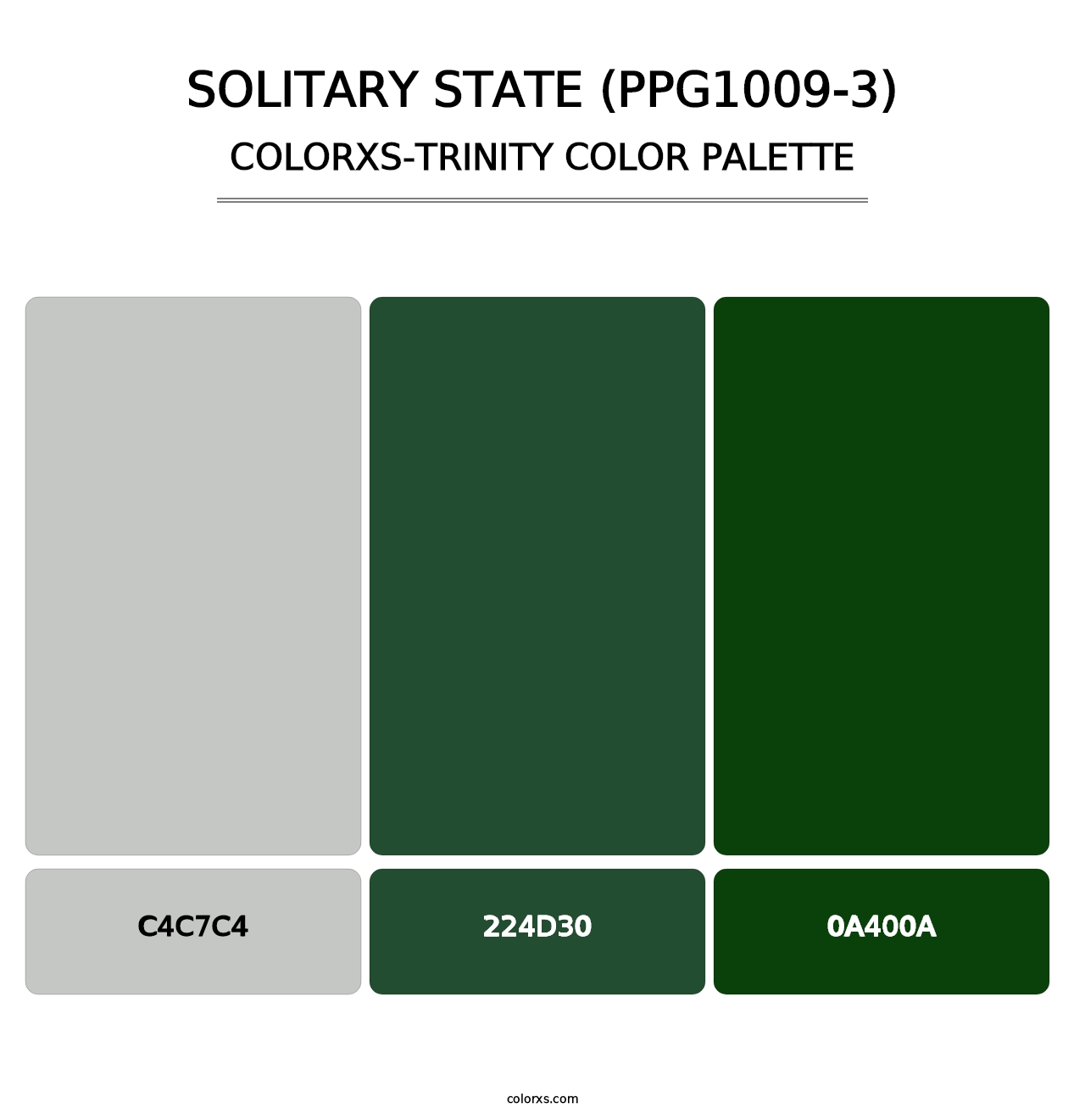 Solitary State (PPG1009-3) - Colorxs Trinity Palette