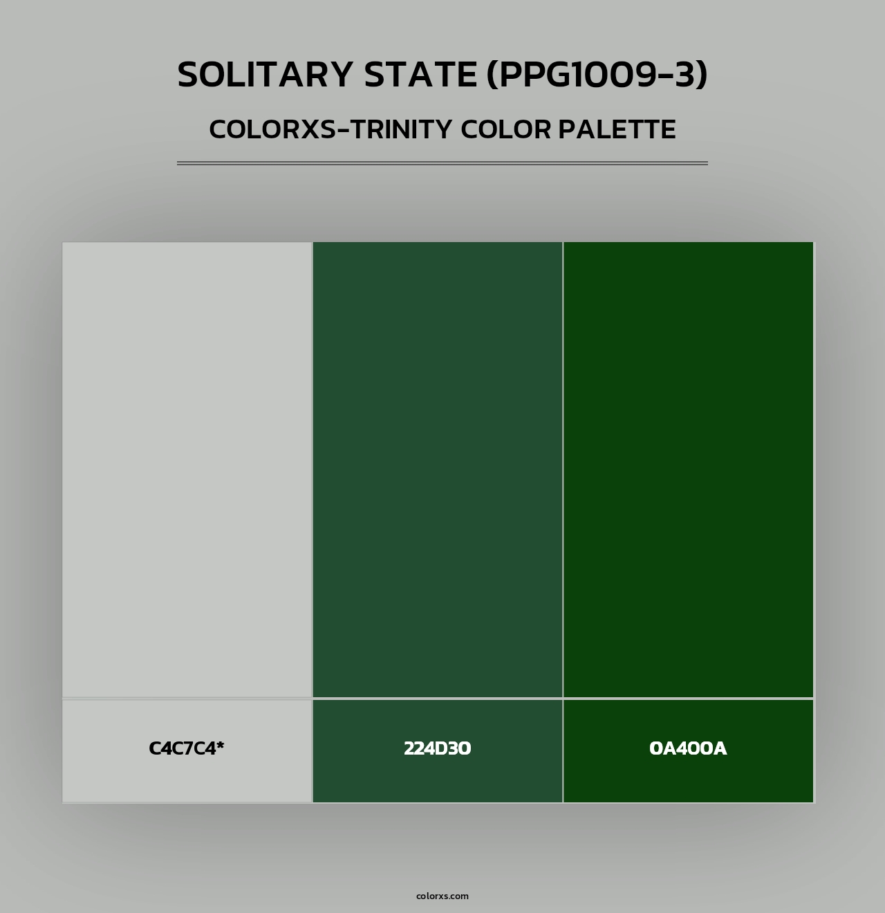 Solitary State (PPG1009-3) - Colorxs Trinity Palette
