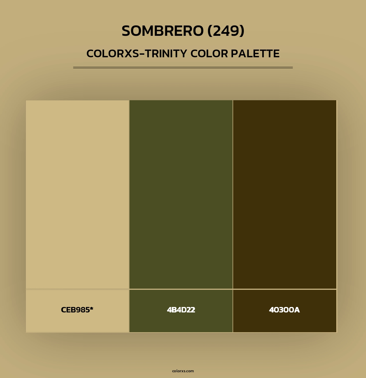 Sombrero (249) - Colorxs Trinity Palette
