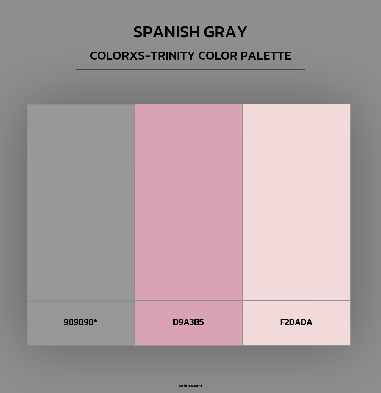 Spanish Gray - Colorxs Trinity Palette