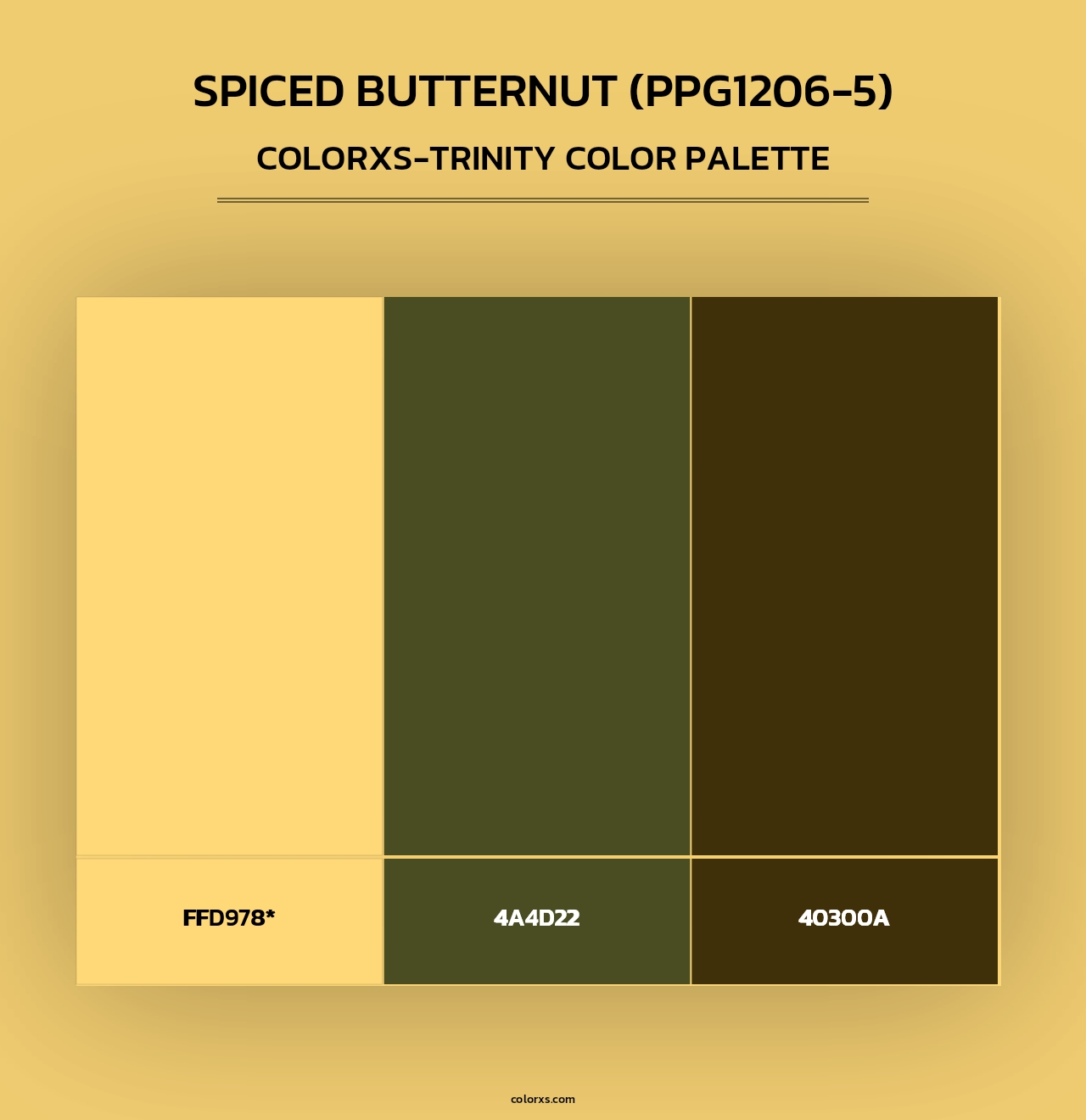 Spiced Butternut (PPG1206-5) - Colorxs Trinity Palette