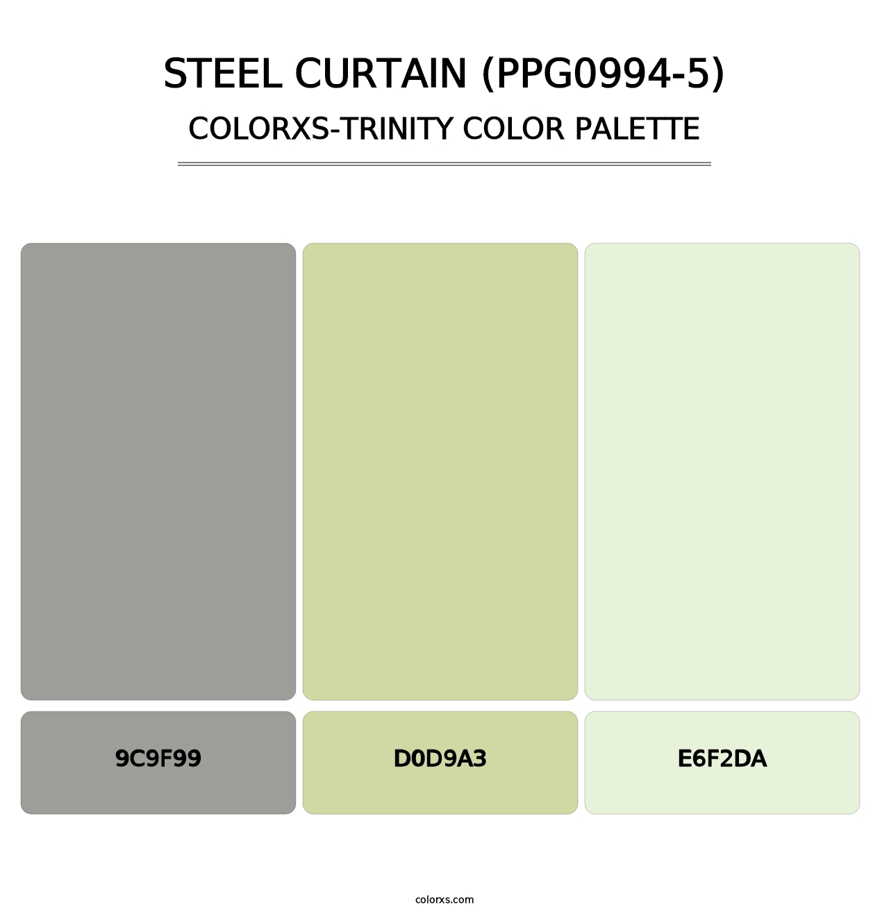 Steel Curtain (PPG0994-5) - Colorxs Trinity Palette