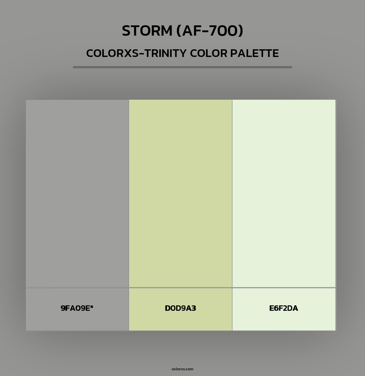 Storm (AF-700) - Colorxs Trinity Palette