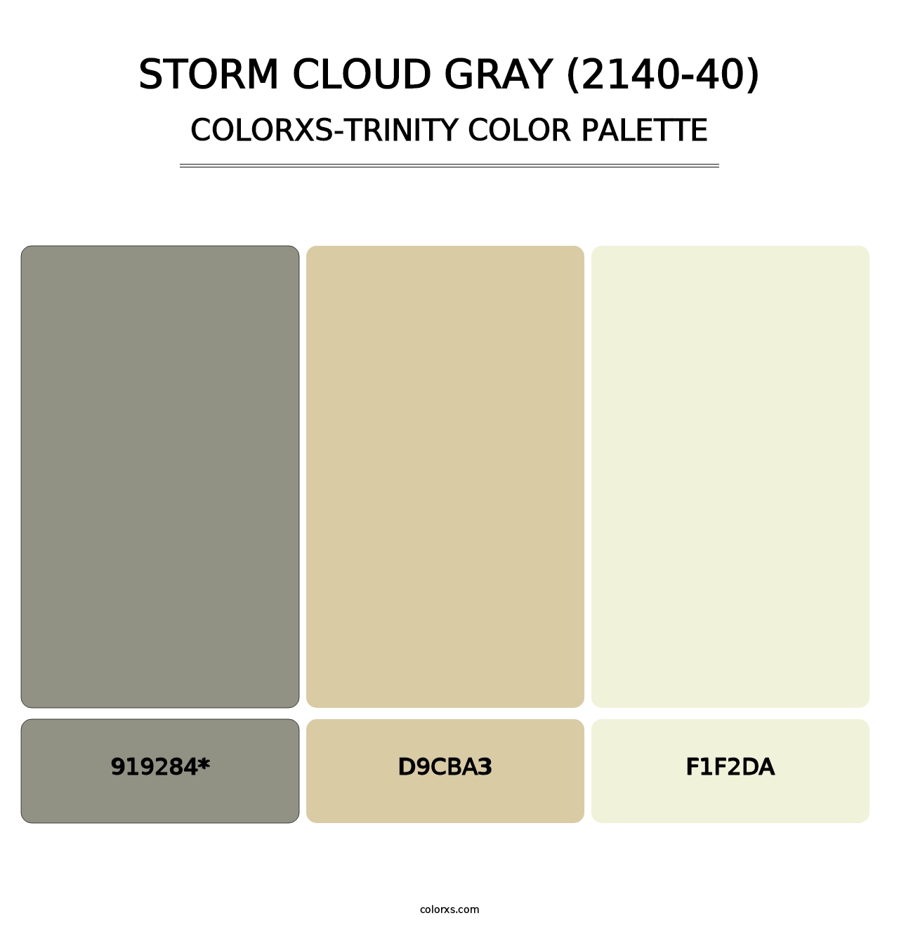 Storm Cloud Gray (2140-40) - Colorxs Trinity Palette