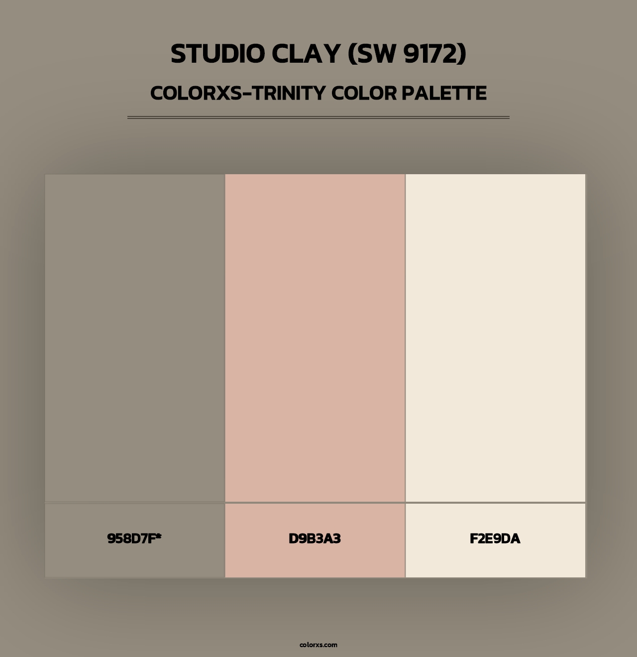 Studio Clay (SW 9172) - Colorxs Trinity Palette