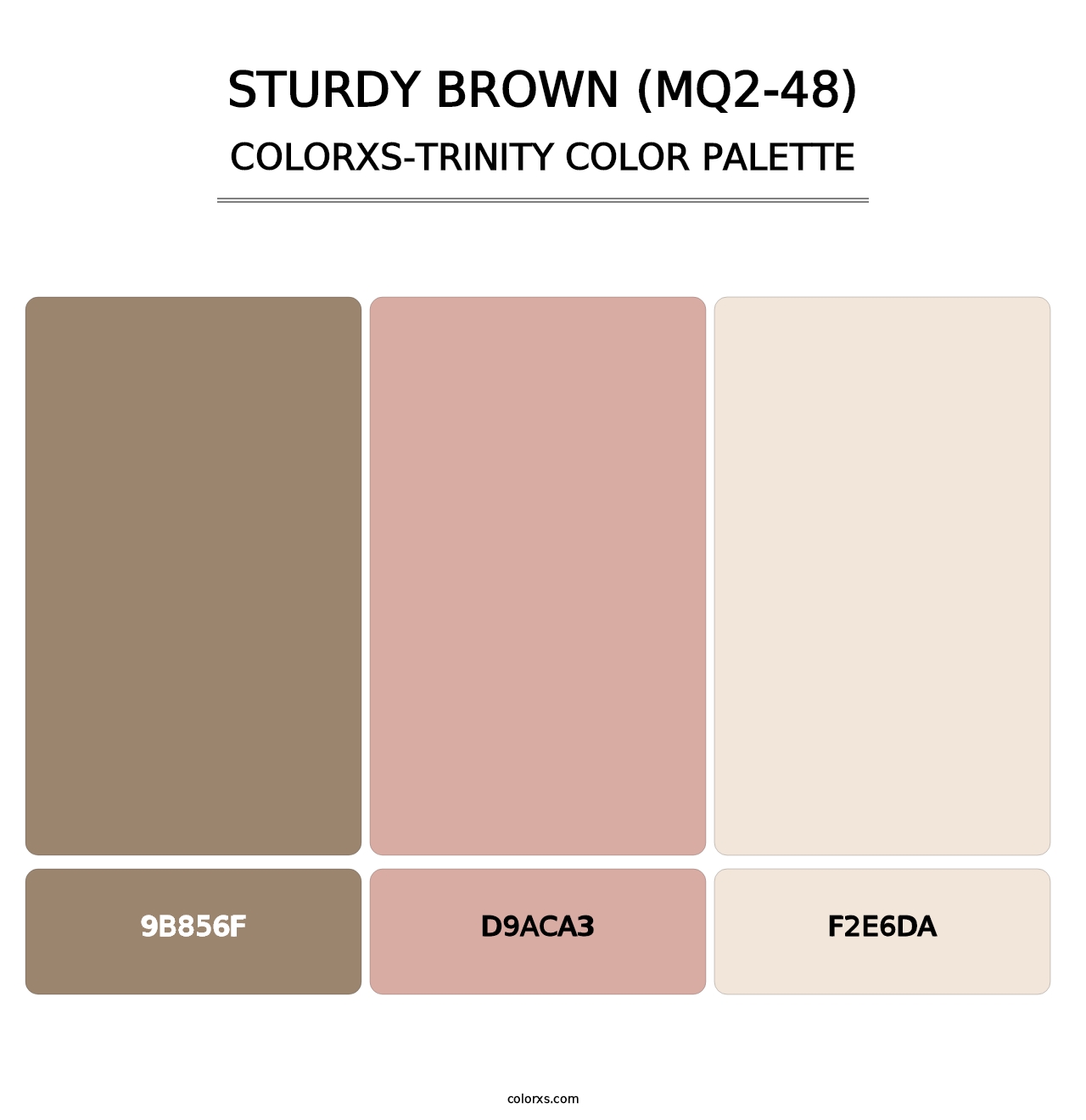 Sturdy Brown (MQ2-48) - Colorxs Trinity Palette