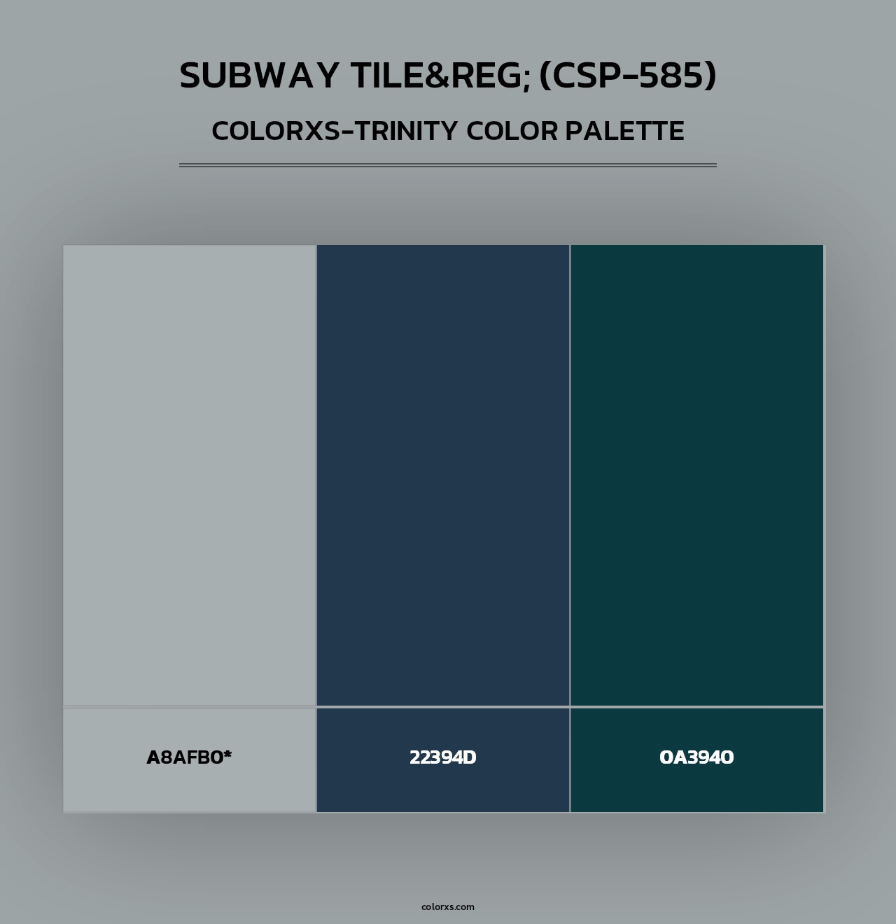 Subway Tile&reg; (CSP-585) - Colorxs Trinity Palette