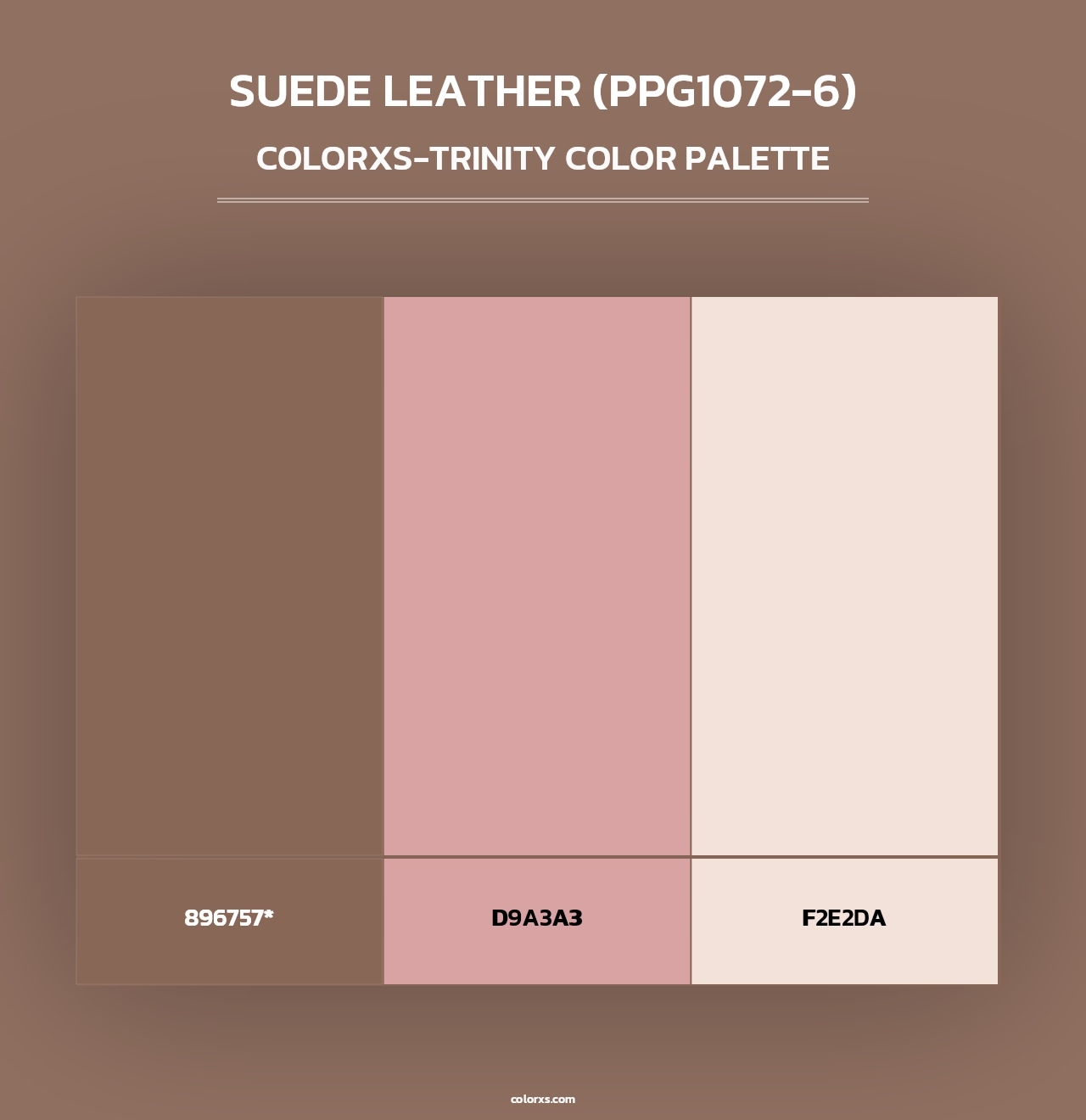 Suede Leather (PPG1072-6) - Colorxs Trinity Palette