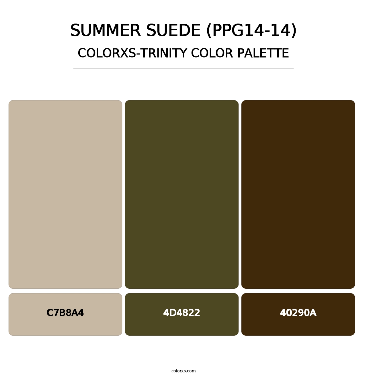 Summer Suede (PPG14-14) - Colorxs Trinity Palette