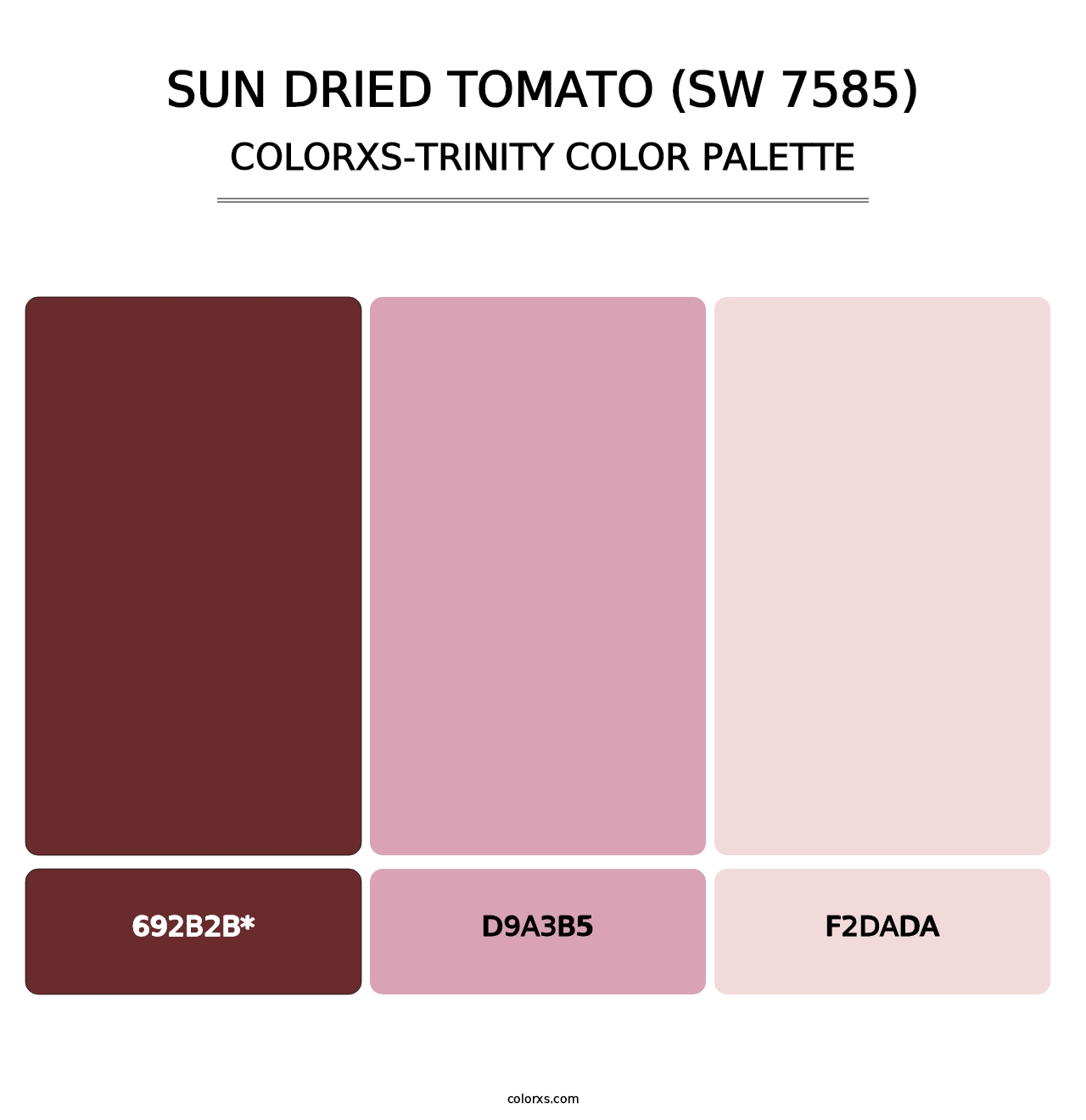 Sun Dried Tomato (SW 7585) - Colorxs Trinity Palette
