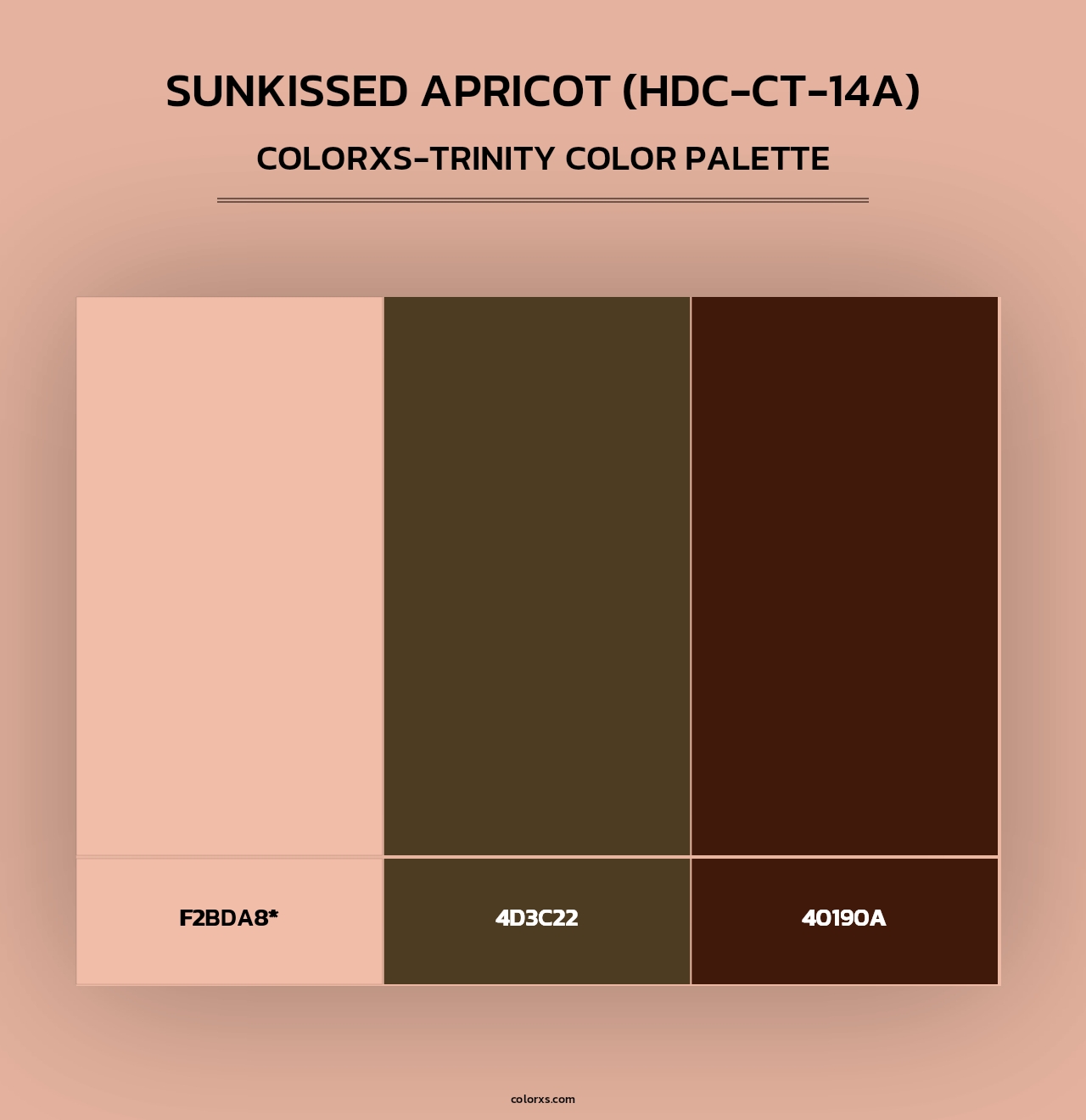 Sunkissed Apricot (HDC-CT-14A) - Colorxs Trinity Palette