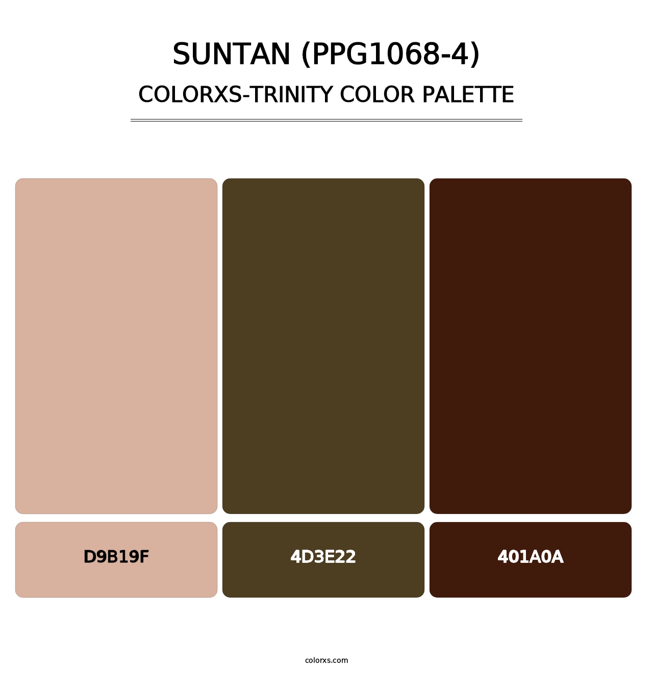 Suntan (PPG1068-4) - Colorxs Trinity Palette