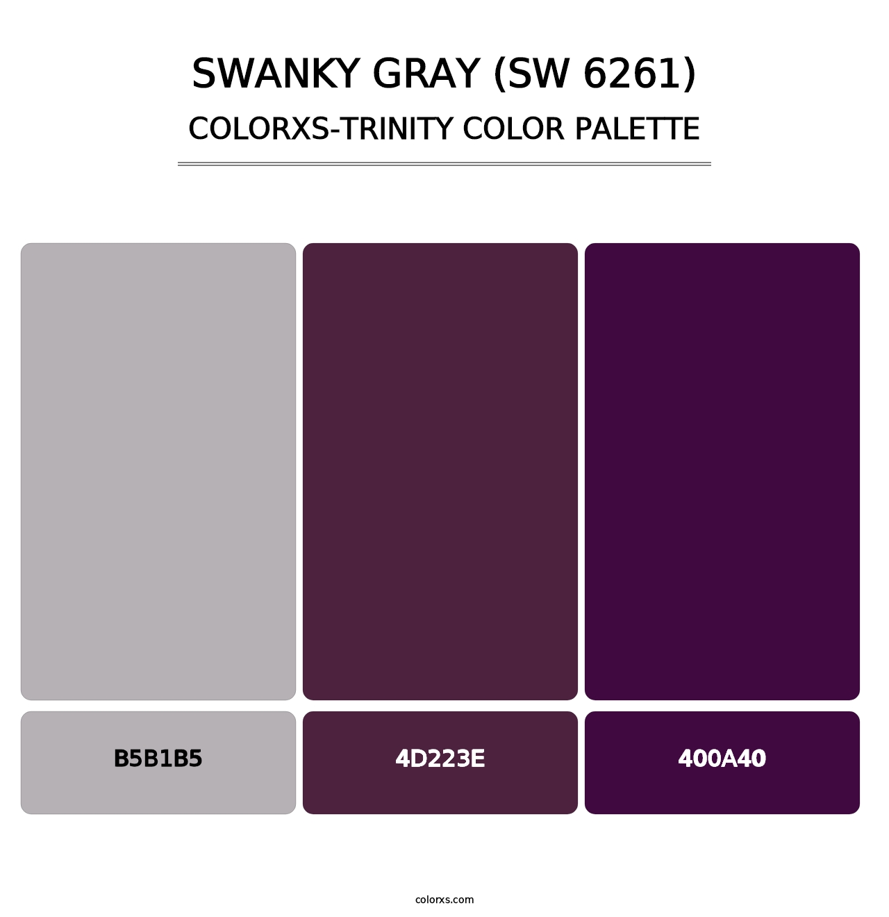 Swanky Gray (SW 6261) - Colorxs Trinity Palette