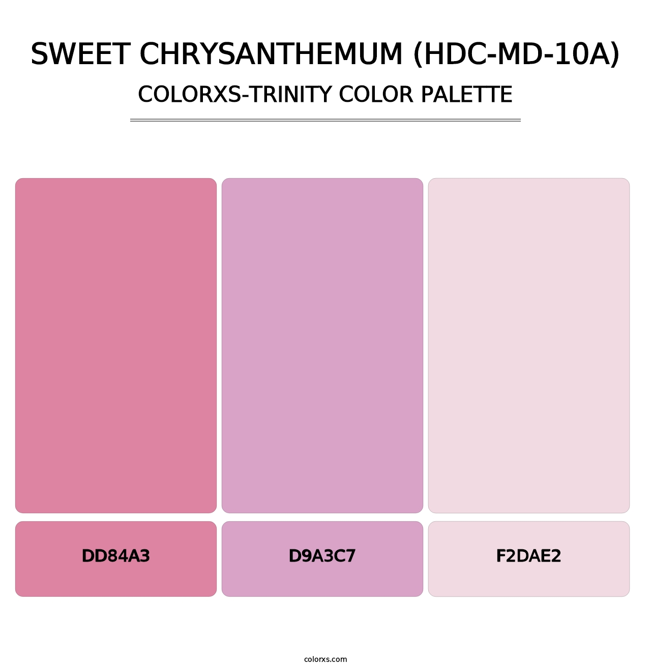 Sweet Chrysanthemum (HDC-MD-10A) - Colorxs Trinity Palette