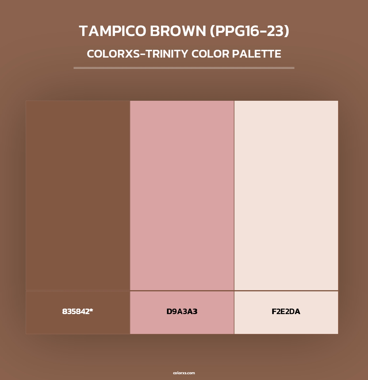 Tampico Brown (PPG16-23) - Colorxs Trinity Palette