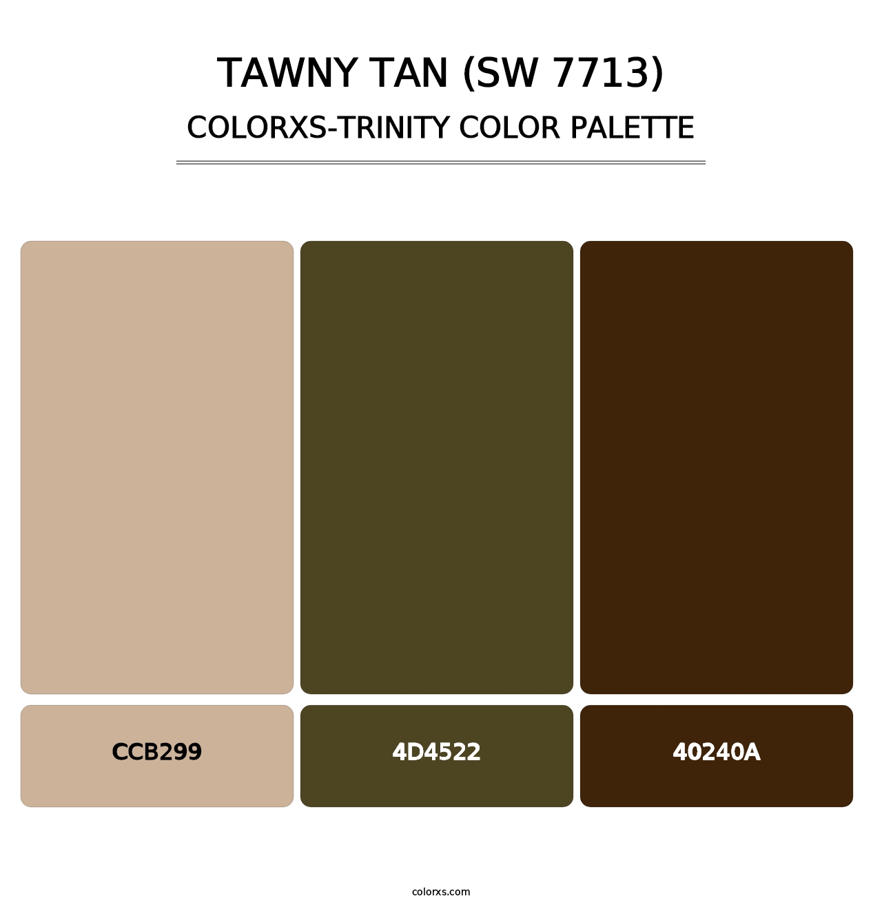 Tawny Tan (SW 7713) - Colorxs Trinity Palette